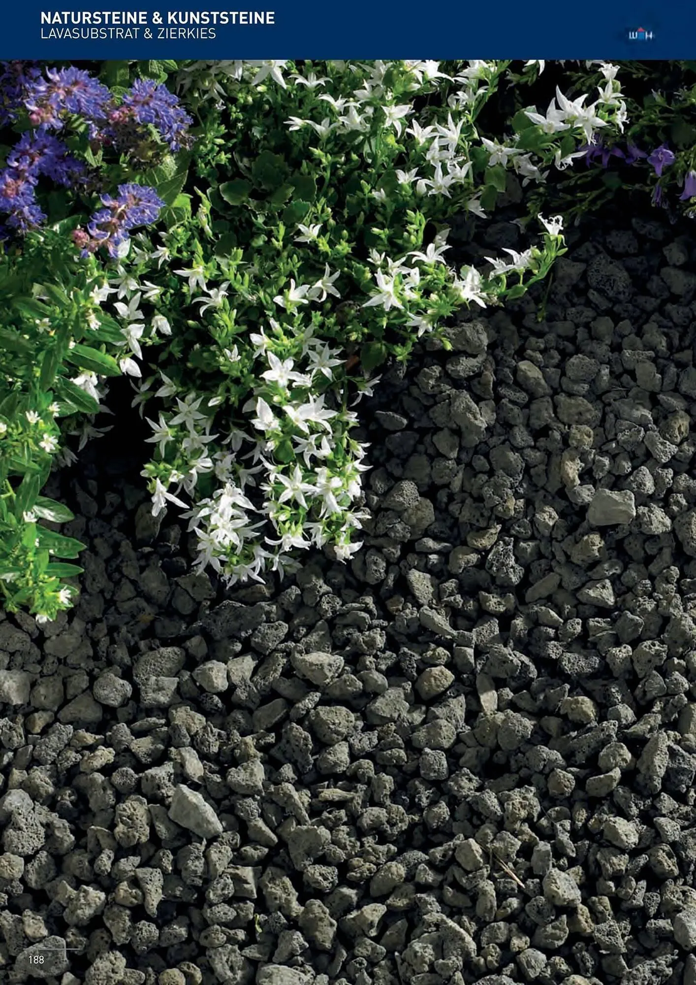 Würth Flugblatt von 5. Juni bis 31. Dezember 2025 - Flugblätt seite  185