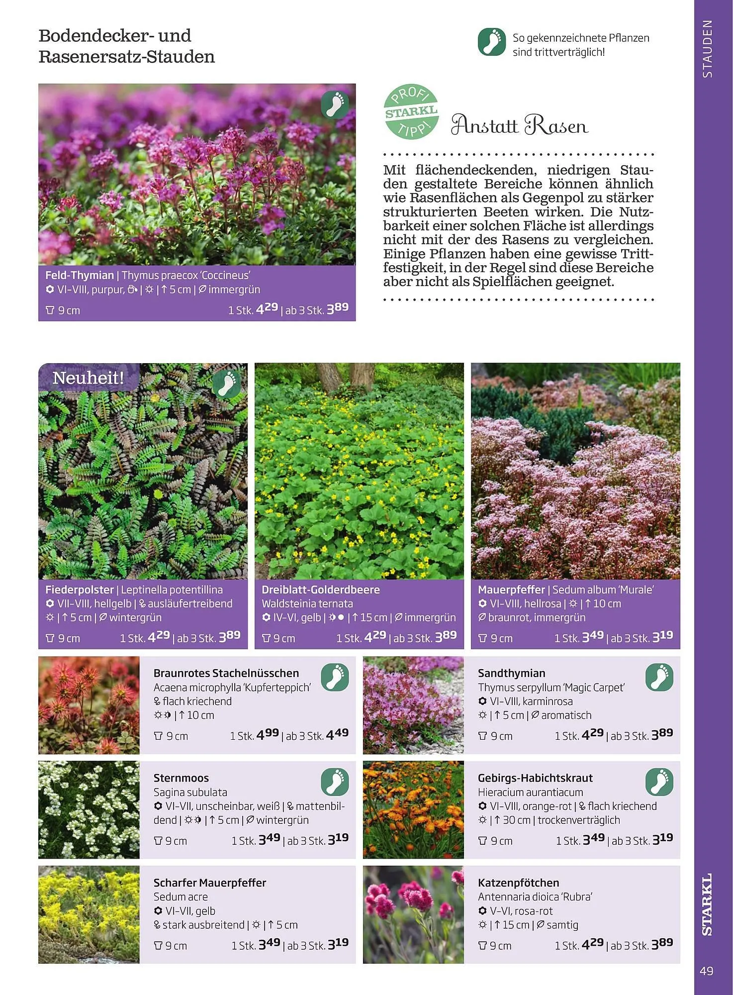 Starkl Flugblatt von 1. April bis 31. Dezember 2024 - Flugblätt seite  49