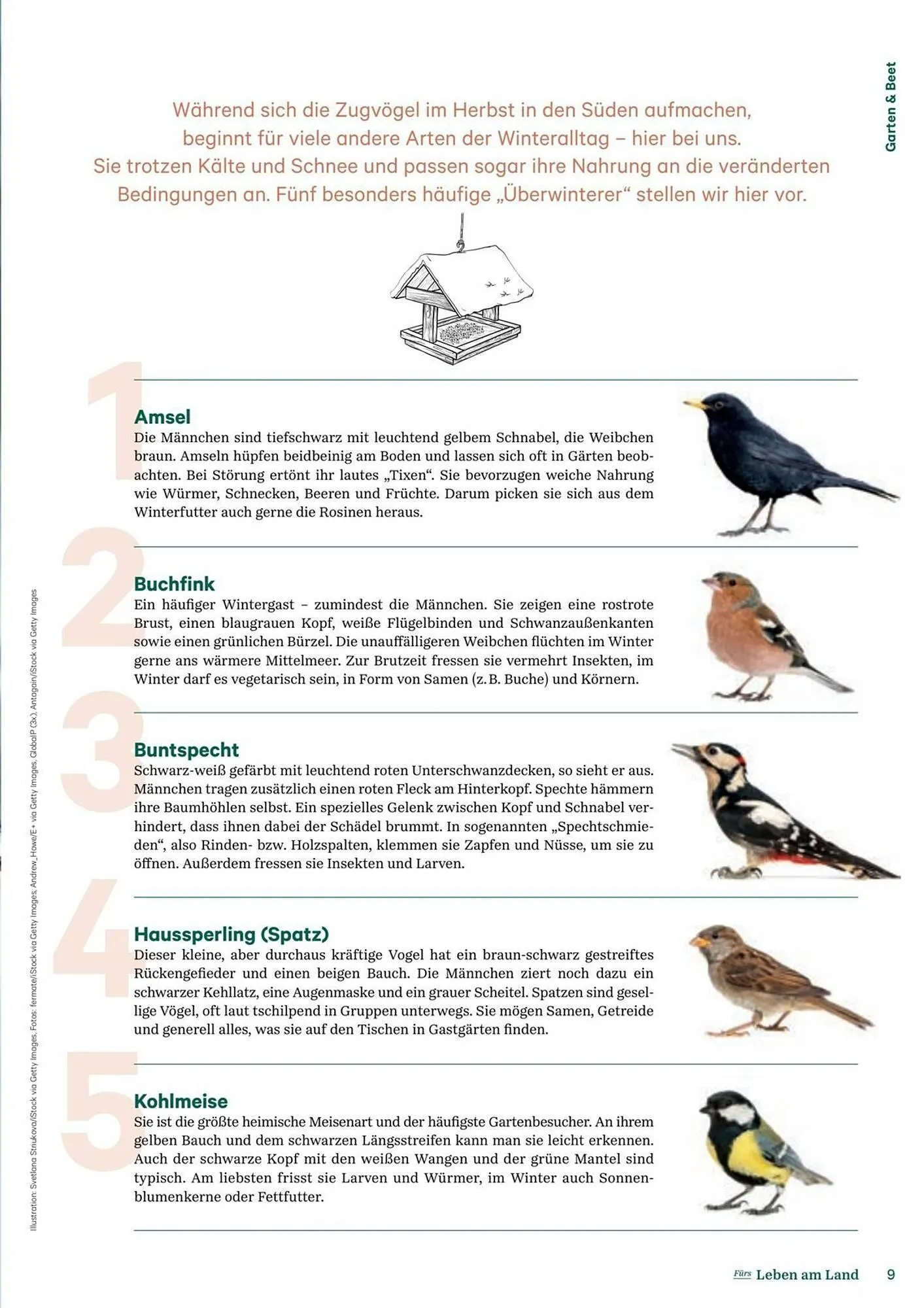 Lagerhaus Flugblatt von 11. Dezember bis 6. Februar 2026 - Flugblätt seite  9