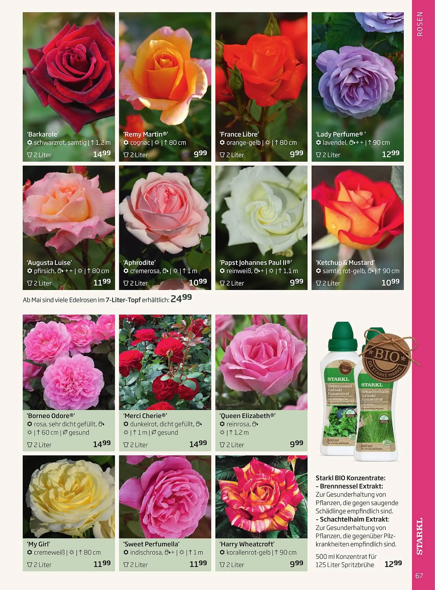 Starkl Flugblatt von 1. April bis 31. Dezember 2024 - Flugblätt seite  67