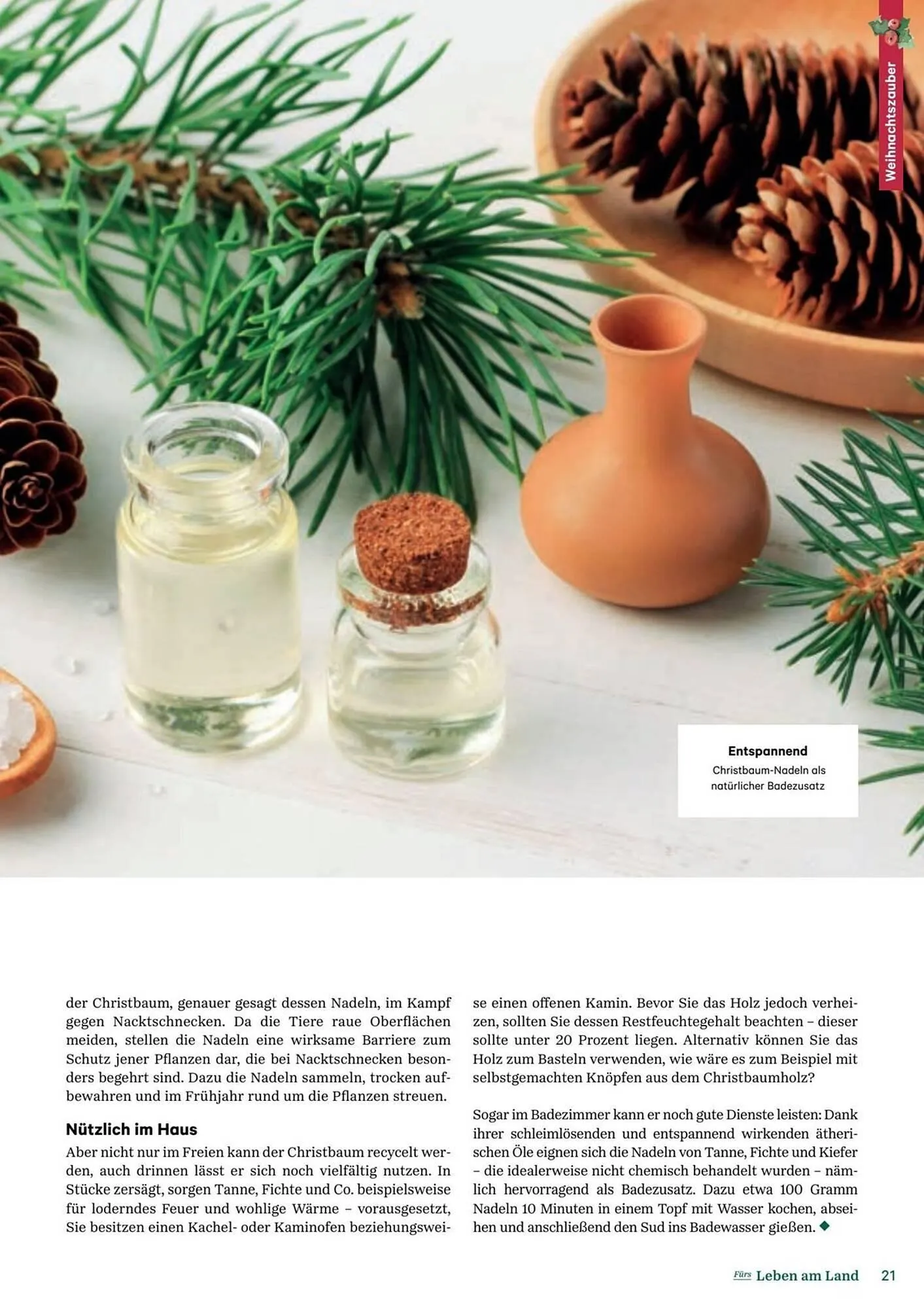 Lagerhaus Flugblatt von 11. Dezember bis 6. Februar 2026 - Flugblätt seite  21