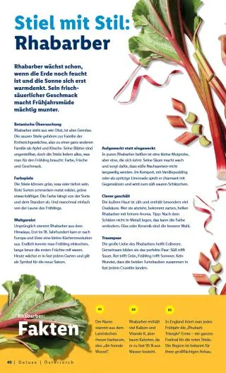 Lidl Flugblatt - Deluxe Ostern von 1. März bis 4. April 2026 - Flugblätt seite  40