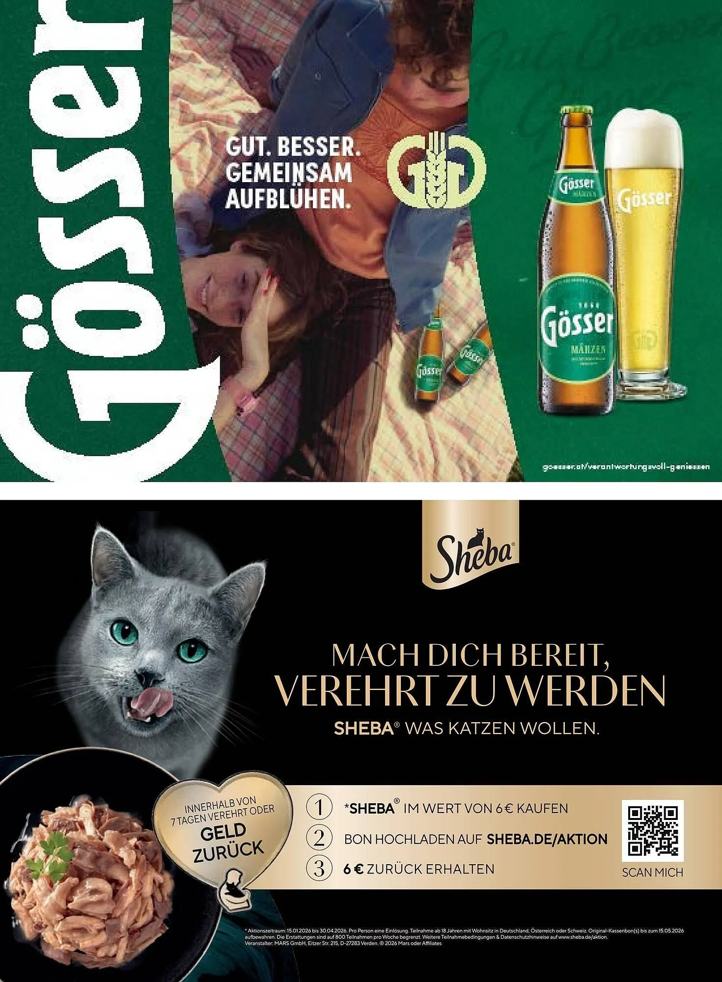 PENNY Flugblatt von 2. März bis 2. April 2026 - Flugblätt seite 67