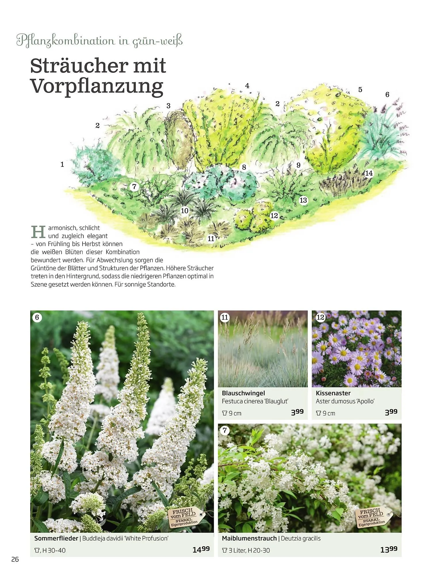 Starkl Flugblatt von 1. Jänner bis 31. Dezember 2023 - Flugblätt seite  26