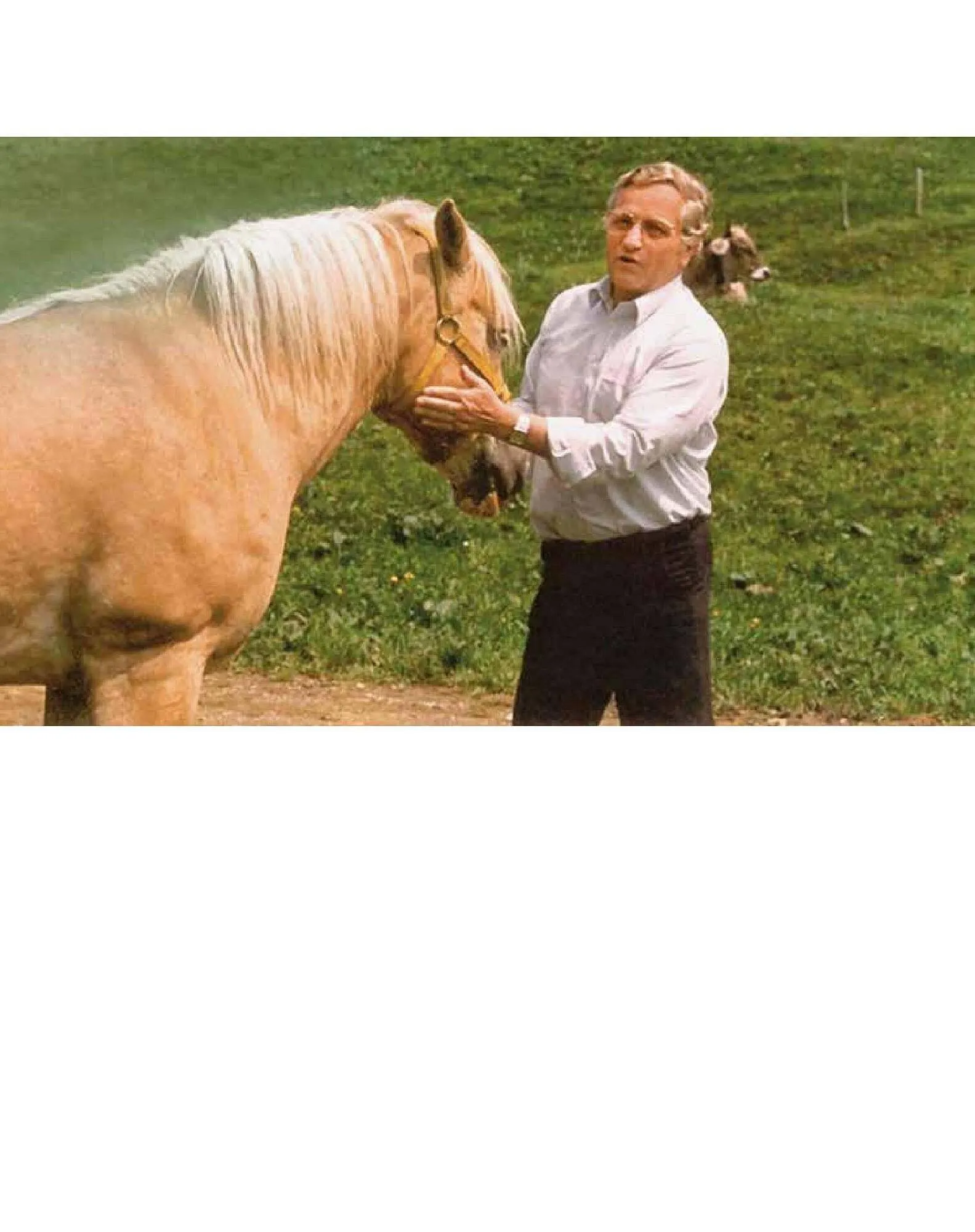 Sutterlüty Flugblatt von 21. Juli bis 31. Dezember 2025 - Flugblätt seite  2