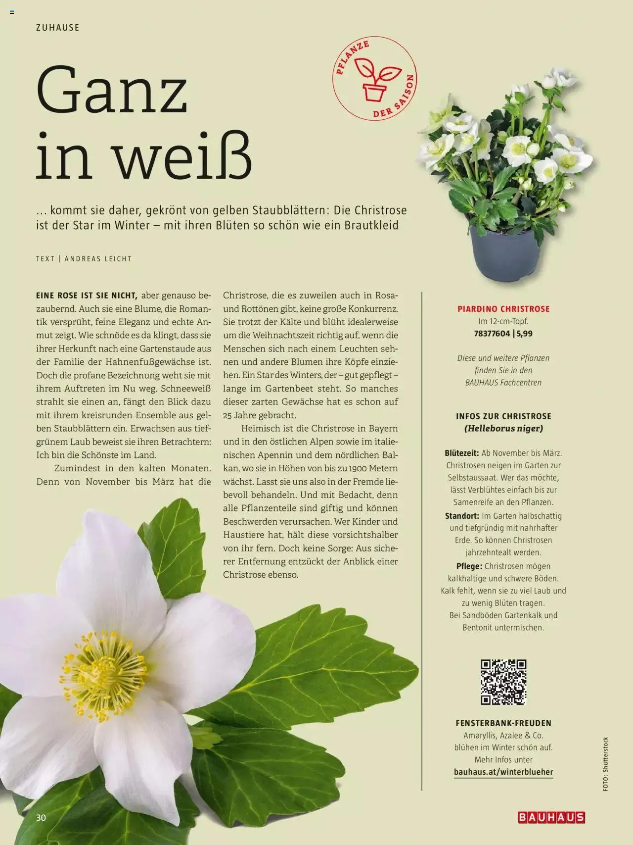 Bauhaus passt! Magazin von 24. Jänner bis 31. Dezember 2023 - Flugblätt seite  30