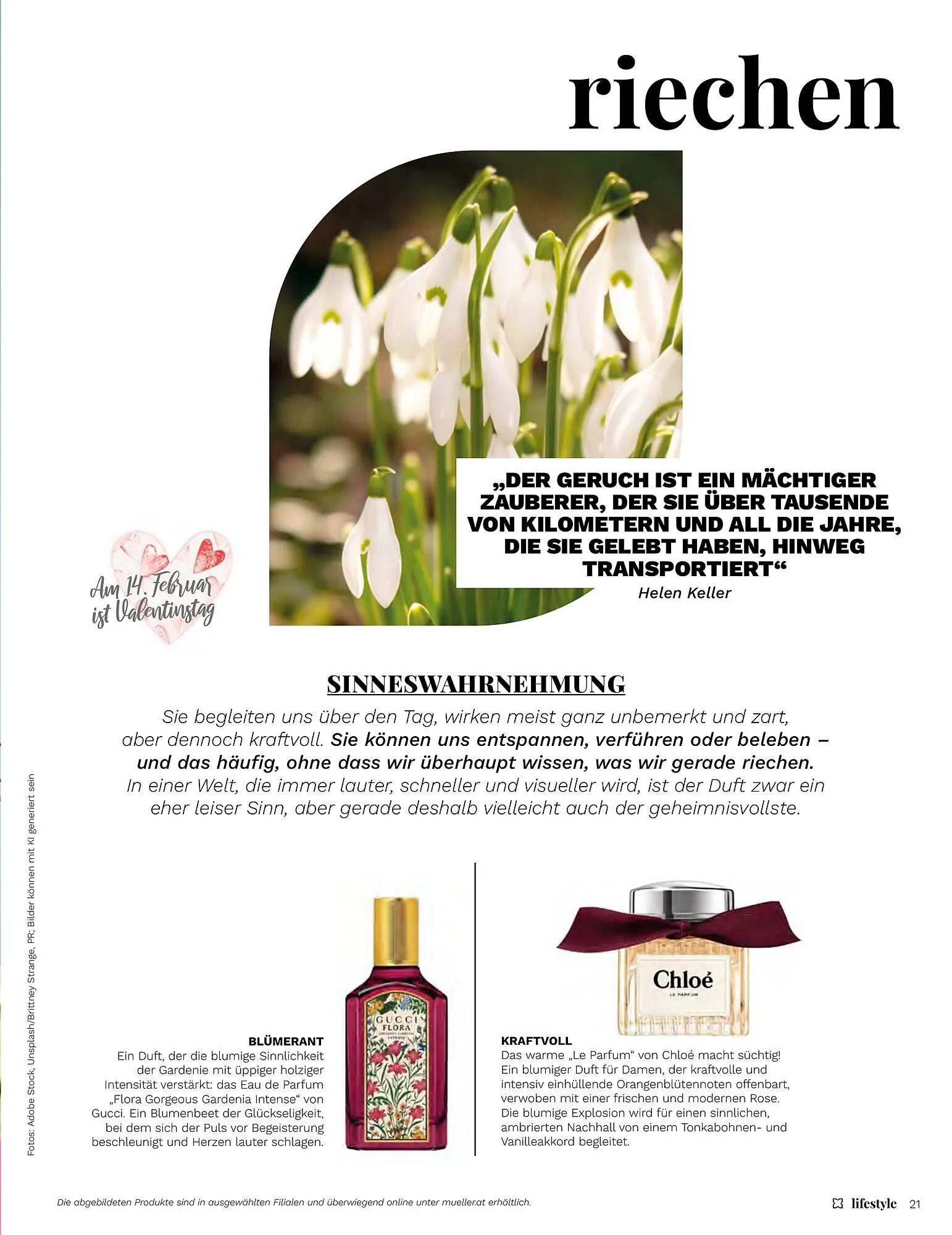 Müller Flugblatt von 1. Jänner bis 28. Februar 2026 - Flugblätt seite 21