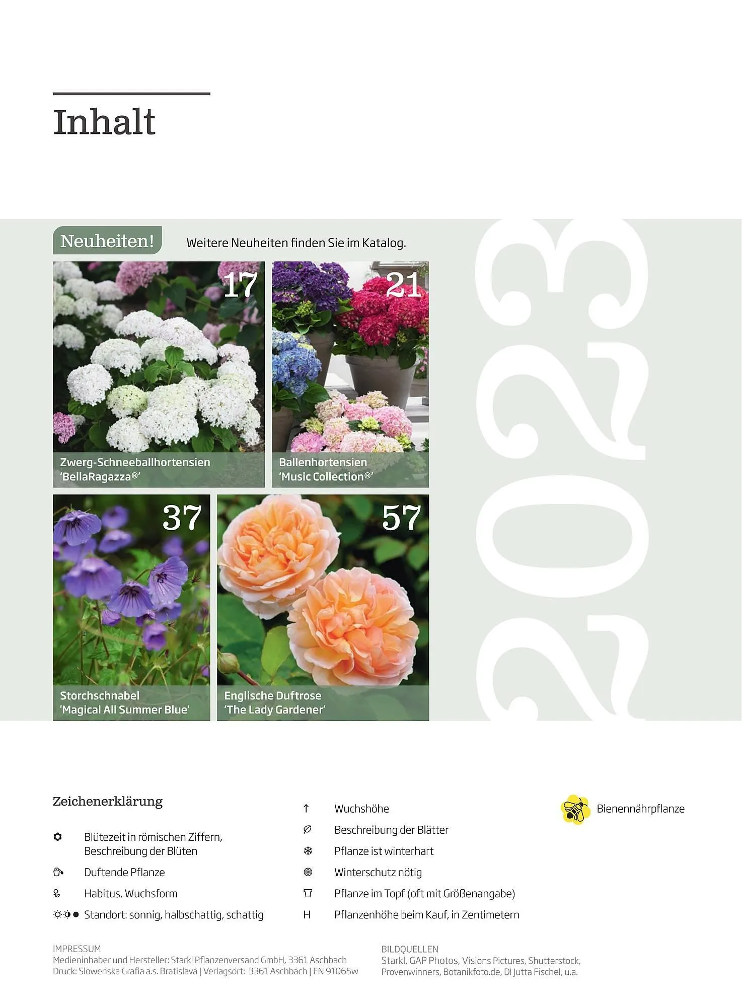 Starkl Flugblatt von 1. Jänner bis 31. Dezember 2023 - Flugblätt seite 6