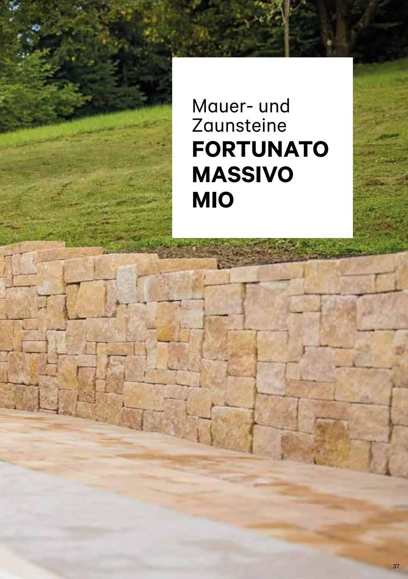 Lagerhaus Flugblatt von 1. Jänner bis 31. Dezember 2026 - Flugblätt seite 37