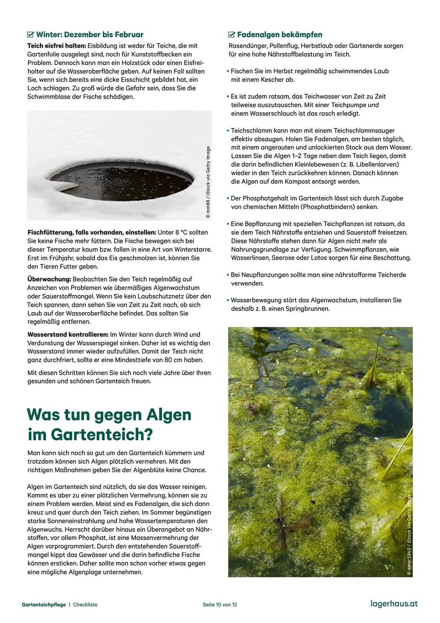 Lagerhaus Flugblatt von 11. Dezember bis 21. Jänner 2026 - Flugblätt seite  10