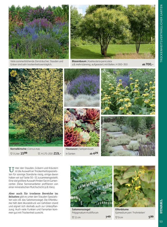 Gartencenter Jahreskatalog 2024 von 20. Mai bis 31. Dezember 2024 - Flugblätt seite 53