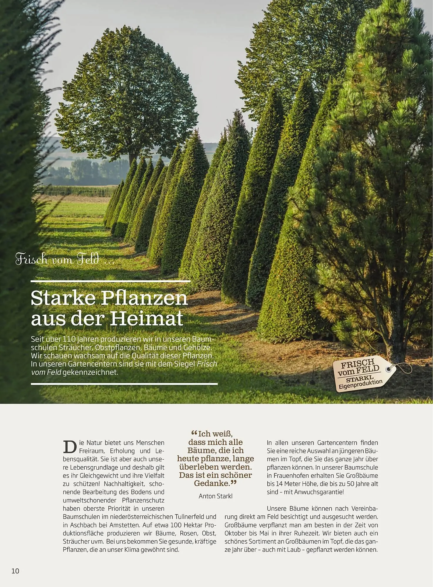 Starkl Flugblatt von 6. Juni bis 31. Dezember 2025 - Flugblätt seite 10