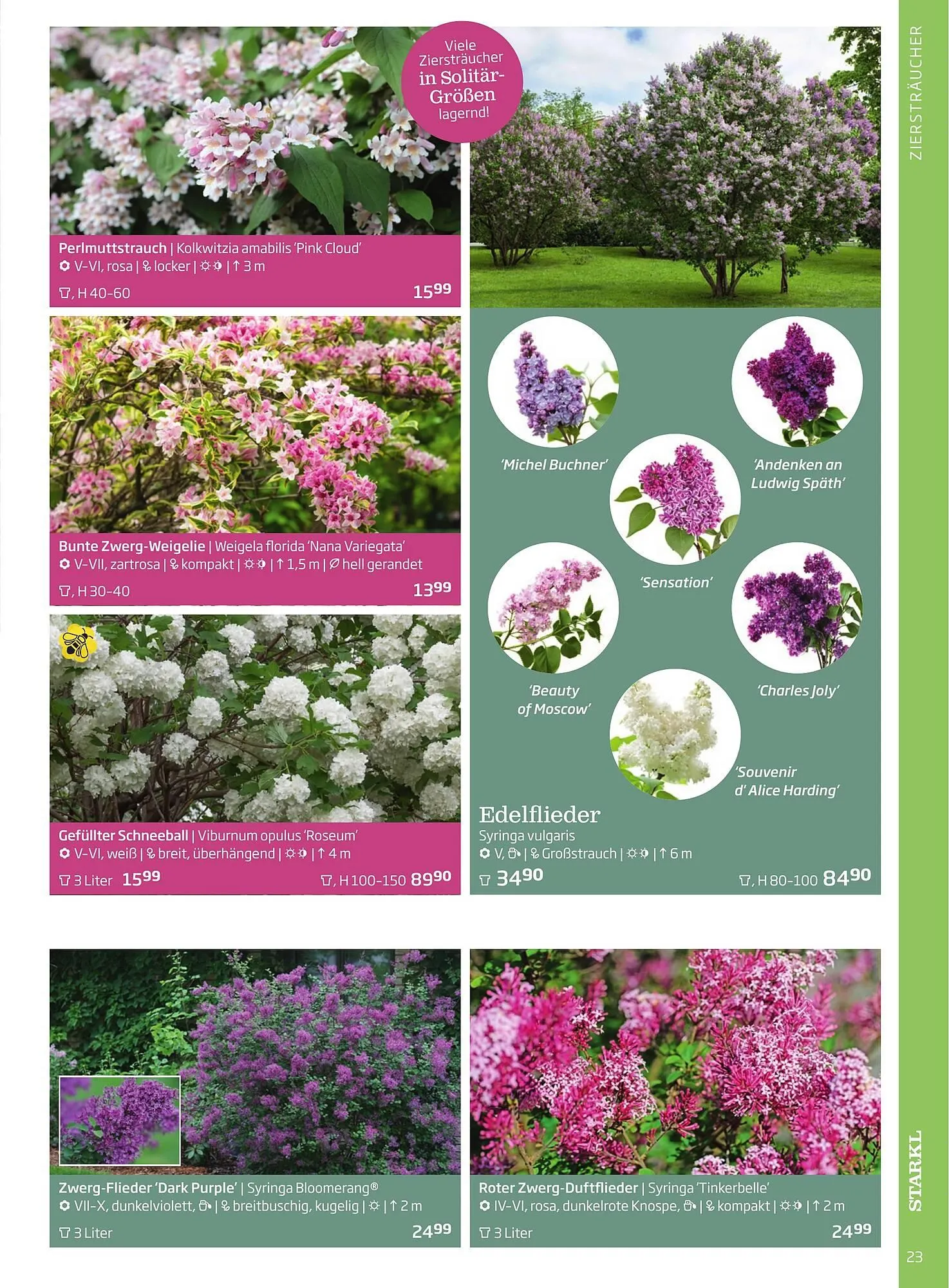 Starkl Flugblatt von 6. Juni bis 31. Dezember 2025 - Flugblätt seite  23