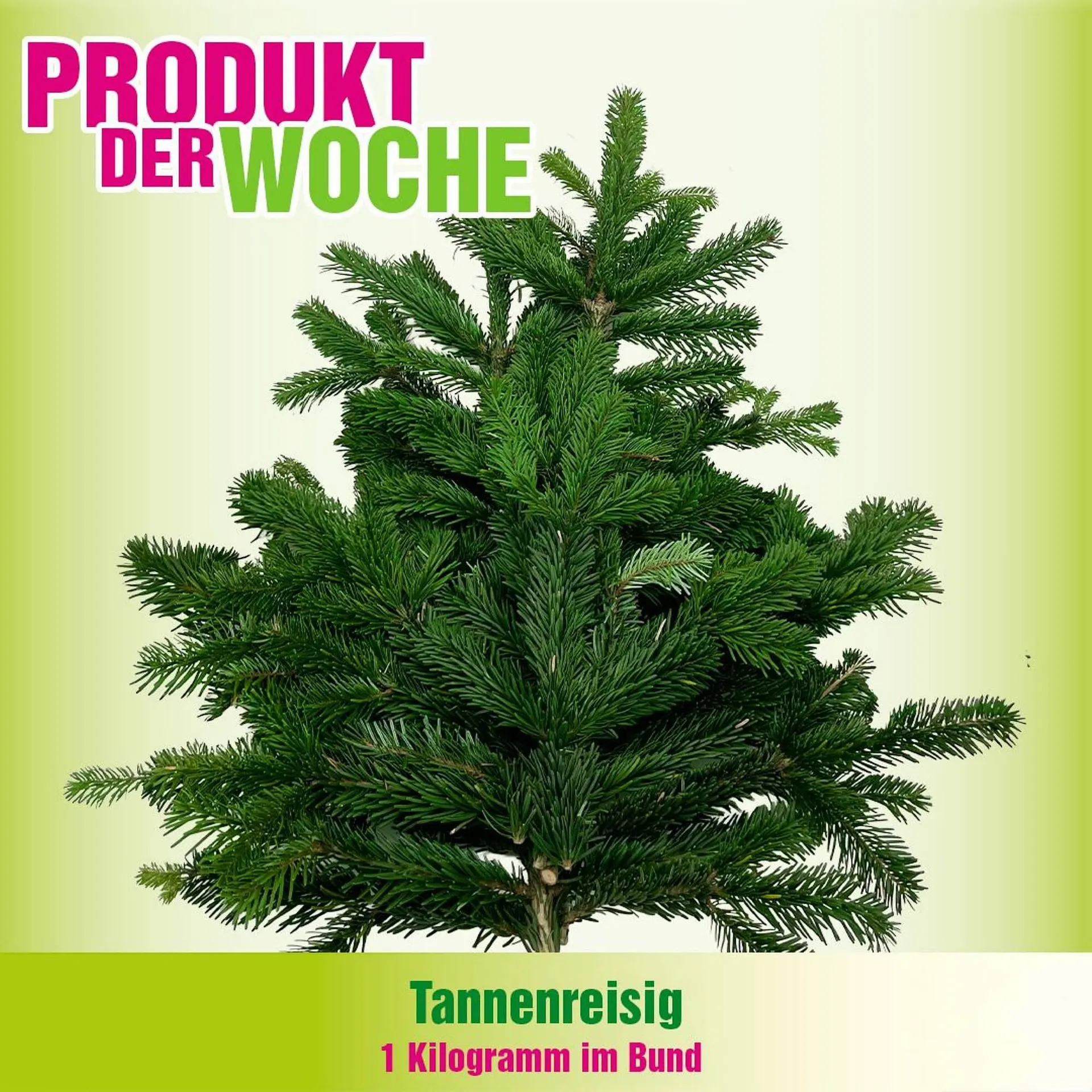 Blumen B&B Flugblatt von 28. Oktober bis 3. November 2025 - Flugblätt seite 3