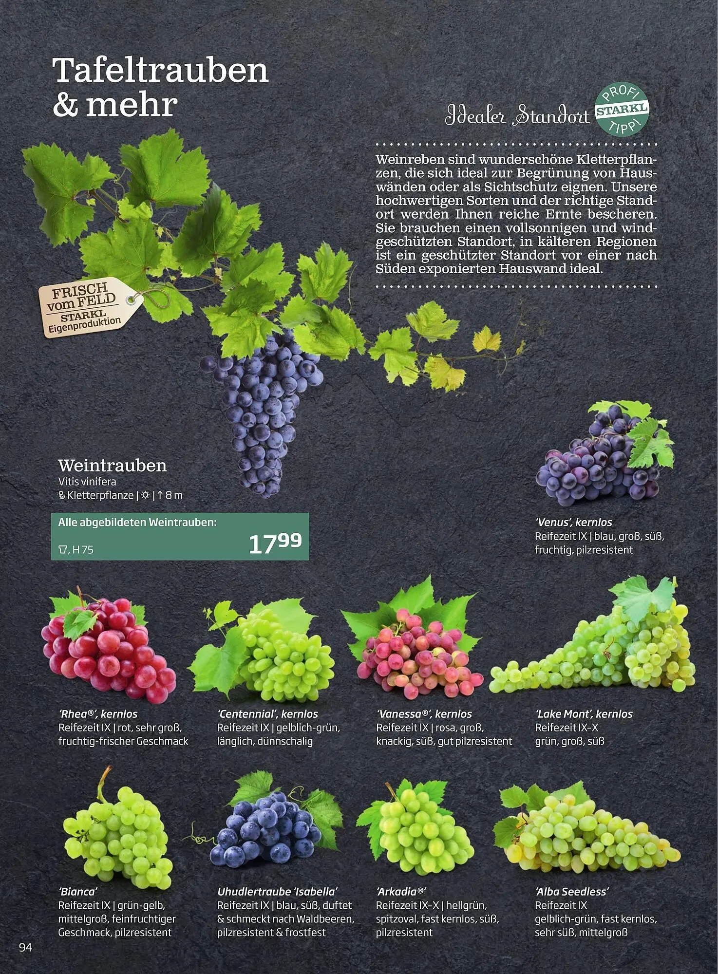 Starkl Flugblatt von 1. Jänner bis 31. Dezember 2023 - Flugblätt seite 94