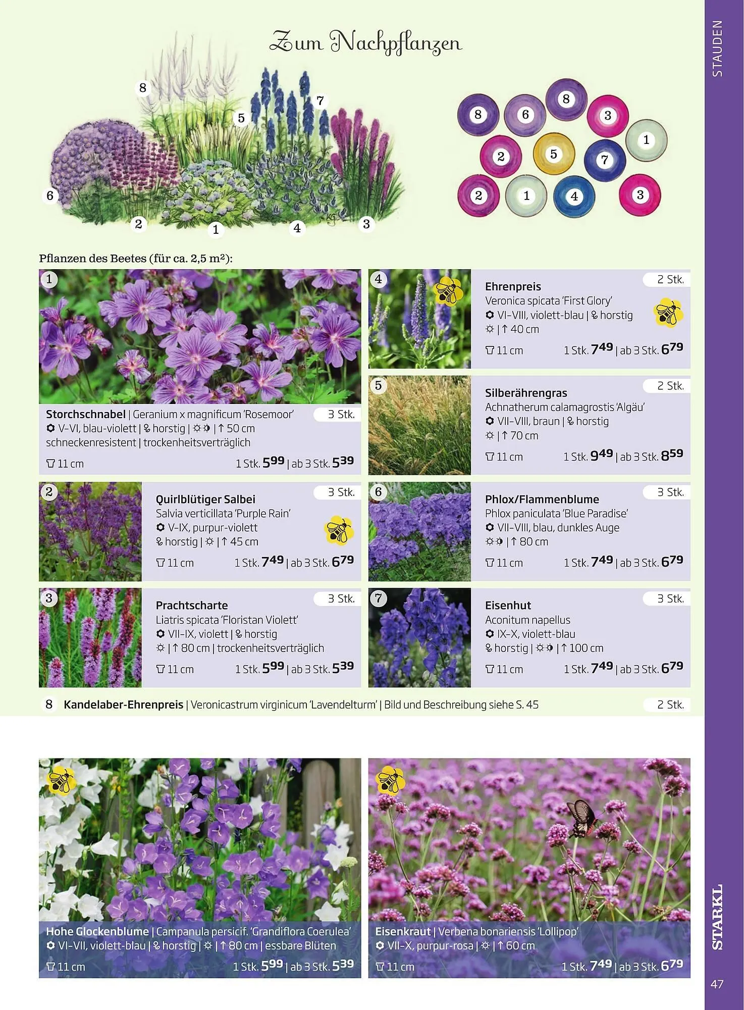 Starkl Flugblatt von 6. Juni bis 31. Dezember 2025 - Flugblätt seite  47