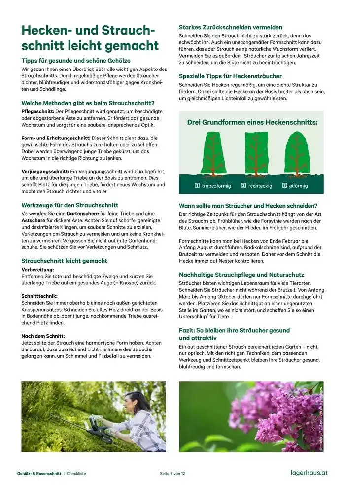 Checkliste: Gehölzschnitt & Rosenschnitt von 28. Dezember bis 11. Jänner 2025 - Flugblätt seite  6