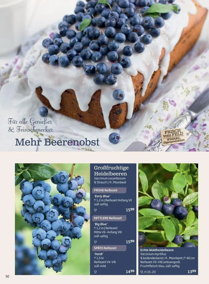 Gartencenter Jahreskatalog 2024 von 20. Mai bis 31. Dezember 2024 - Flugblätt seite  92