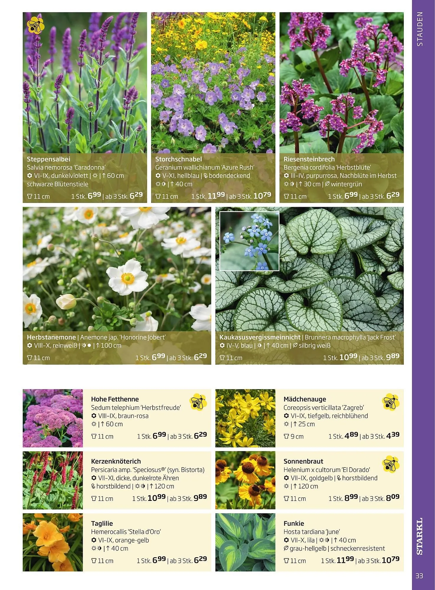 Starkl Flugblatt von 1. Jänner bis 31. Dezember 2023 - Flugblätt seite  33