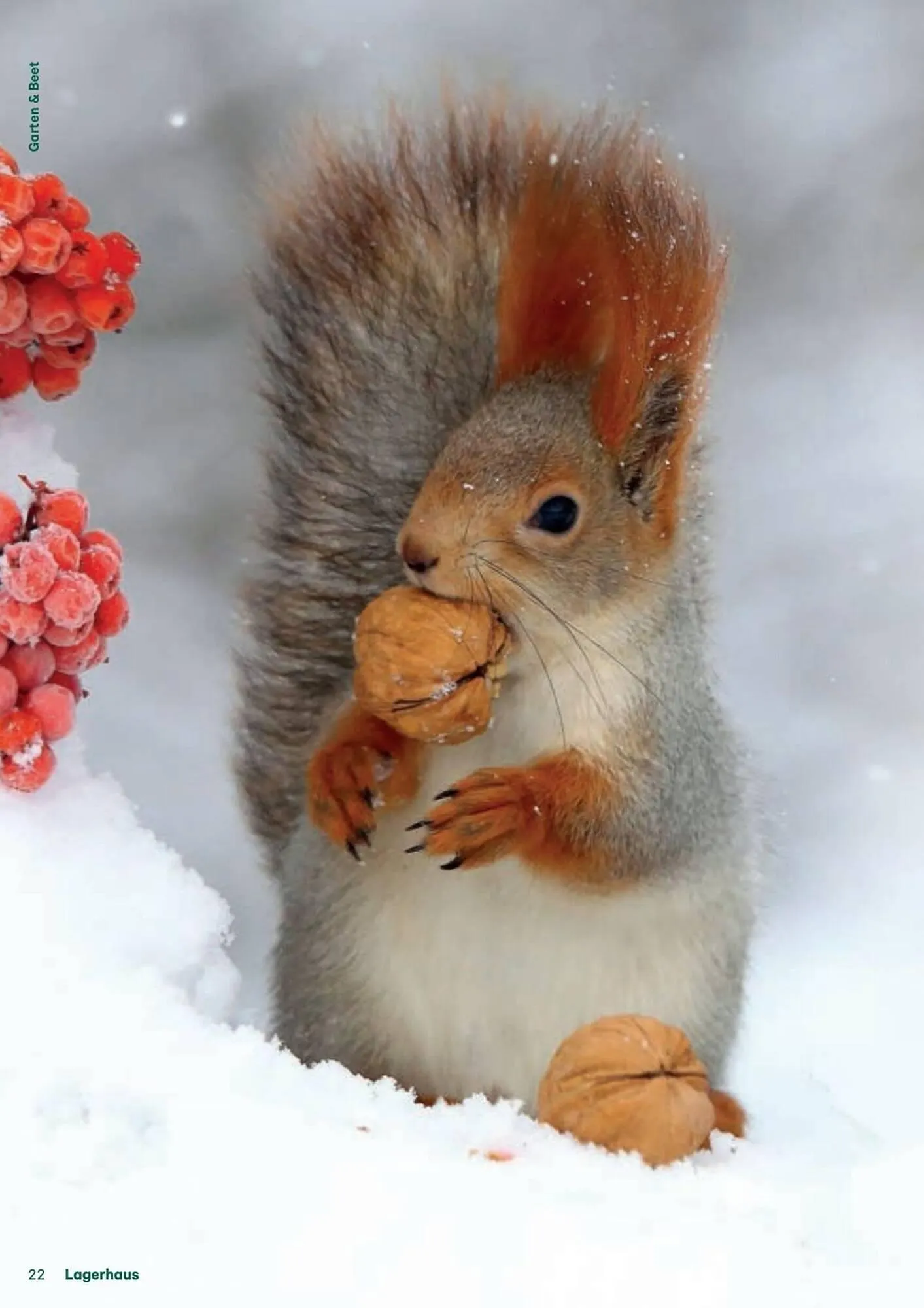 Lagerhaus Flugblatt von 11. Dezember bis 6. Februar 2026 - Flugblätt seite  22