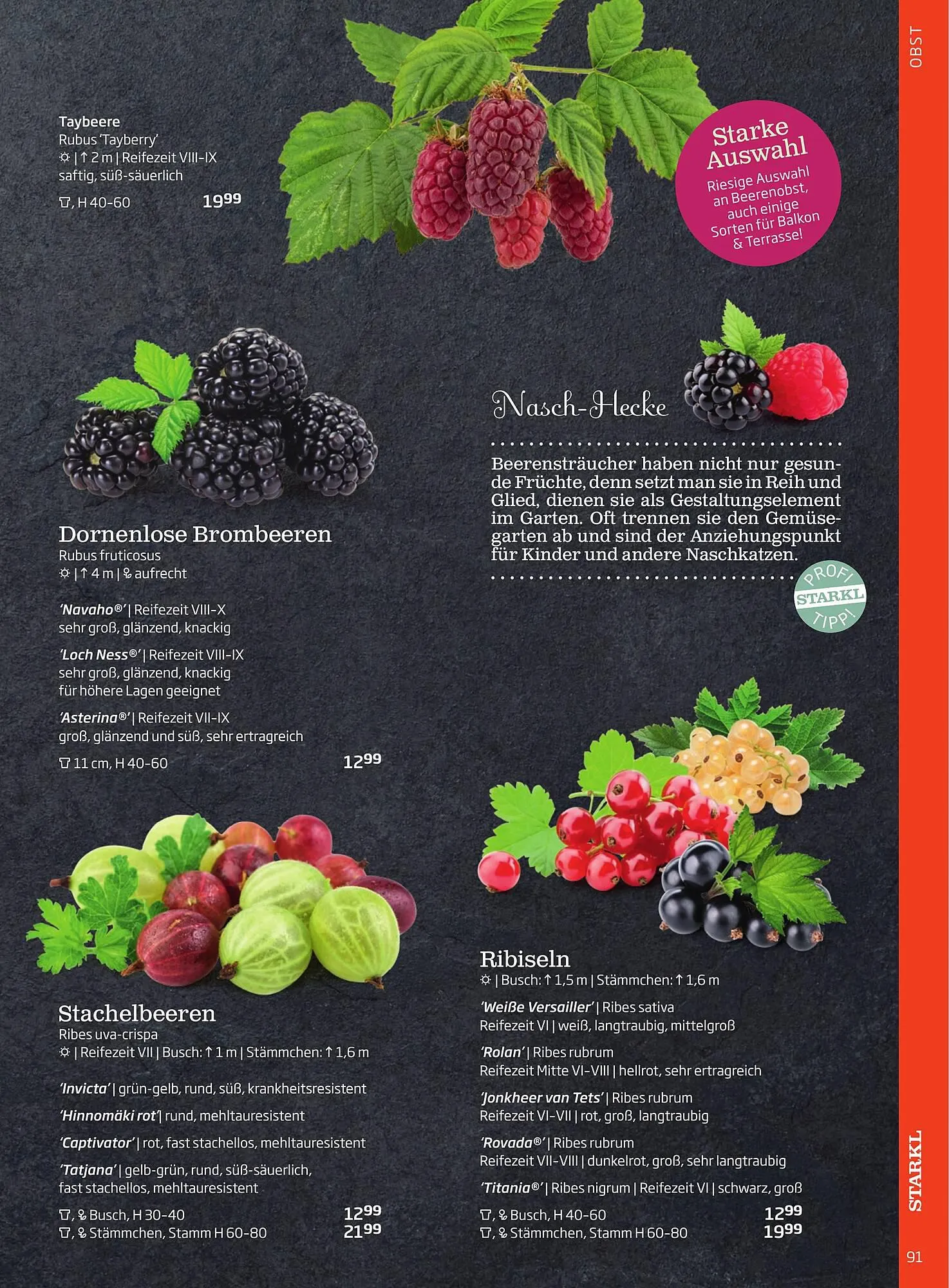 Starkl Flugblatt von 1. April bis 31. Dezember 2024 - Flugblätt seite  91