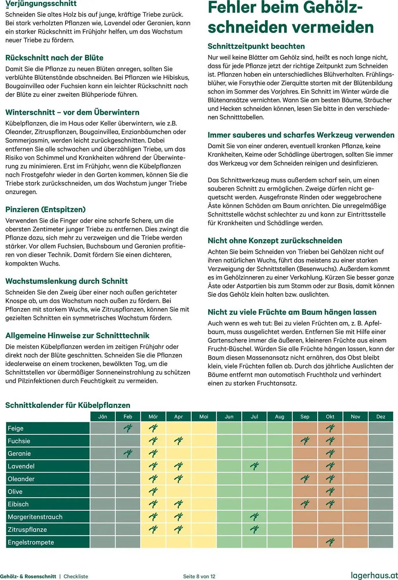 Lagerhaus Flugblatt von 20. Oktober bis 31. Dezember 2025 - Flugblätt seite  8