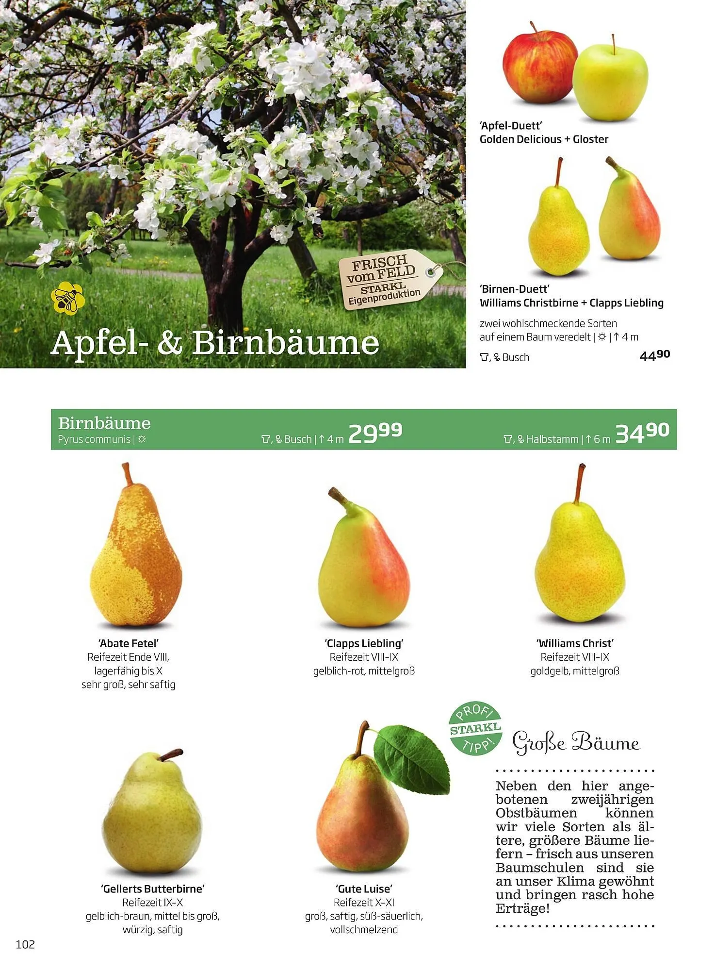 Starkl Flugblatt von 1. Jänner bis 31. Dezember 2023 - Flugblätt seite  102