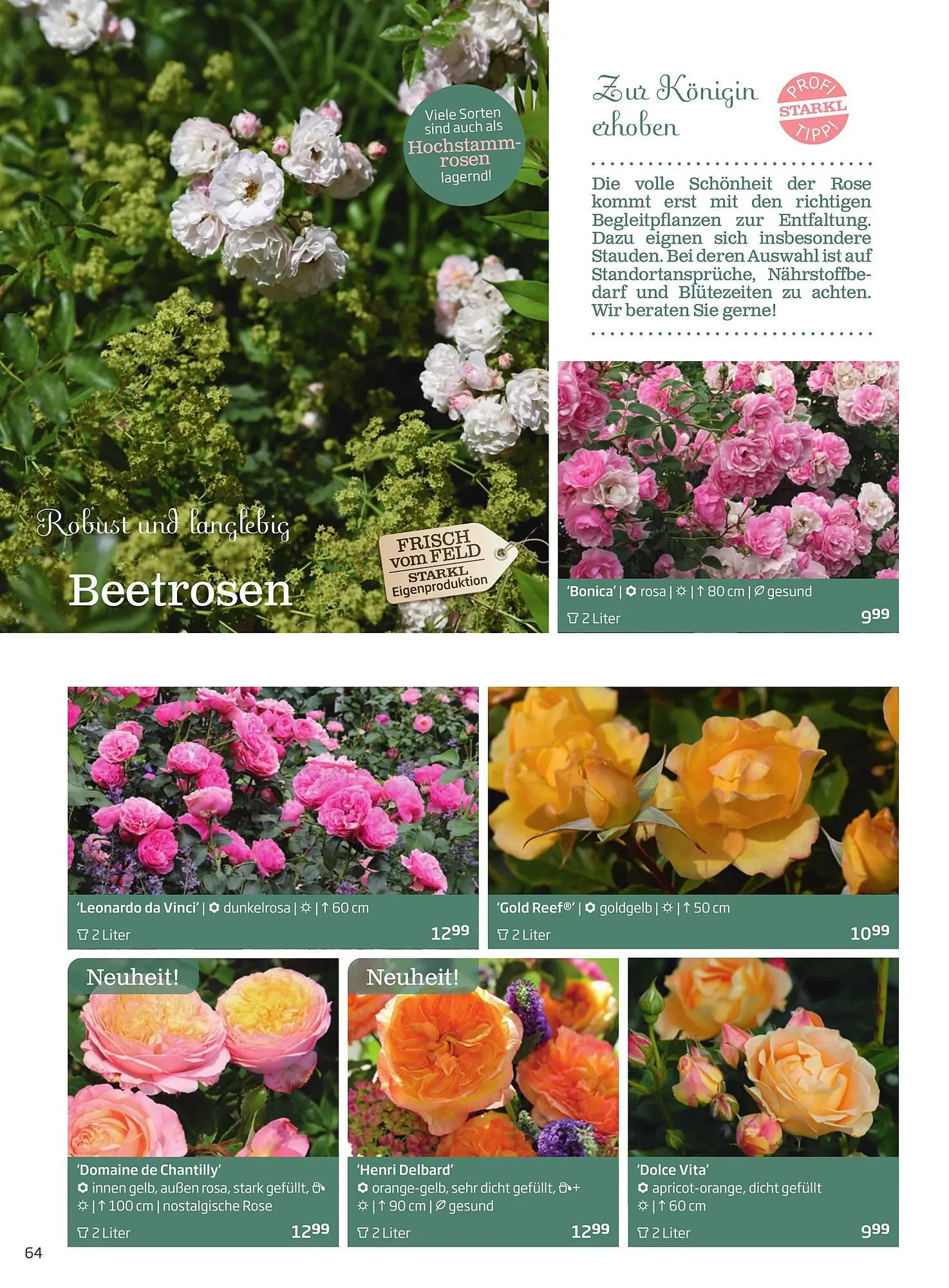 Starkl Flugblatt von 1. April bis 31. Dezember 2024 - Flugblätt seite  64