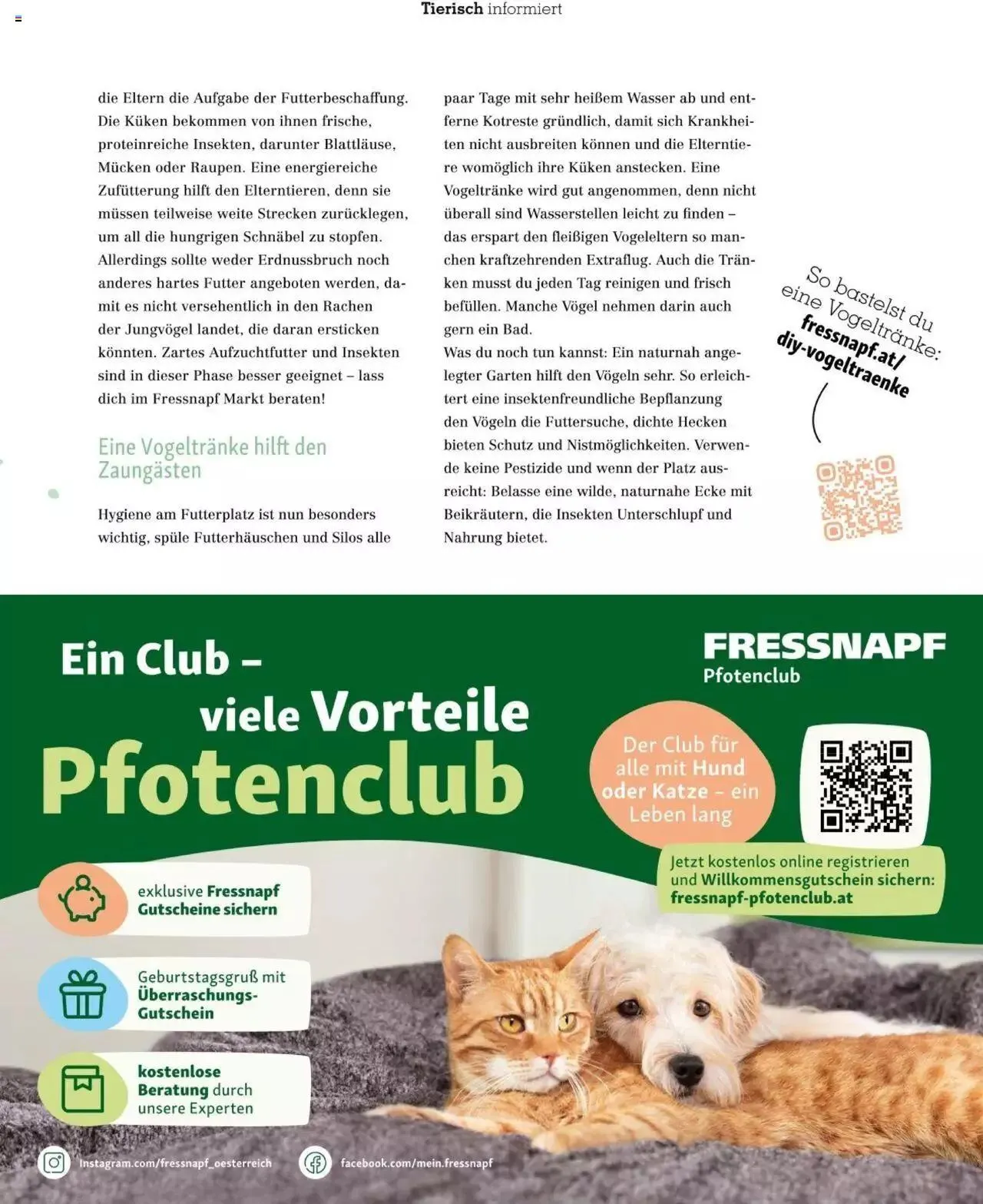 Fressnapf Friends 02/2023 von 1. März bis 31. Dezember 2023 - Flugblätt seite 23