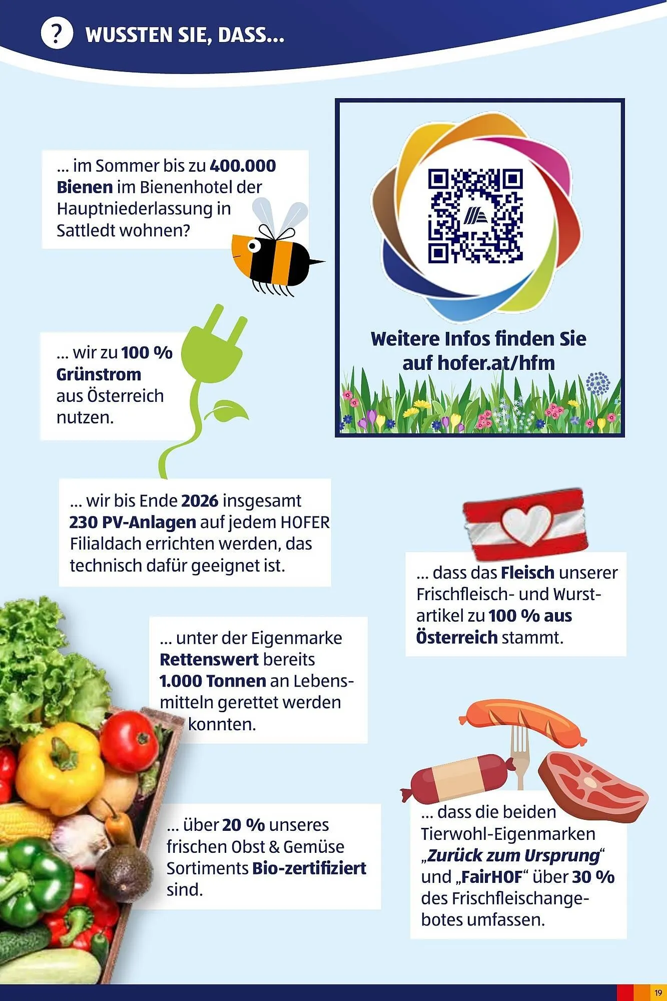 Hofer Flugblatt von 2. Oktober bis 4. März 2026 - Flugblätt seite 19