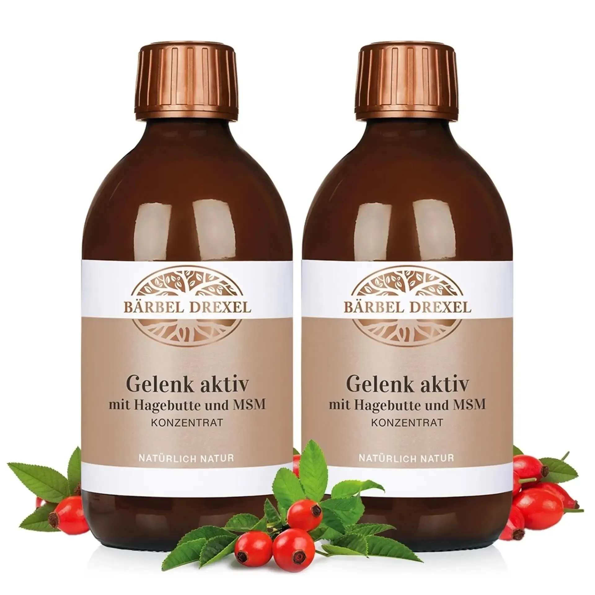 Gelenk aktiv mit Hagebutte und MSM Konzentrat