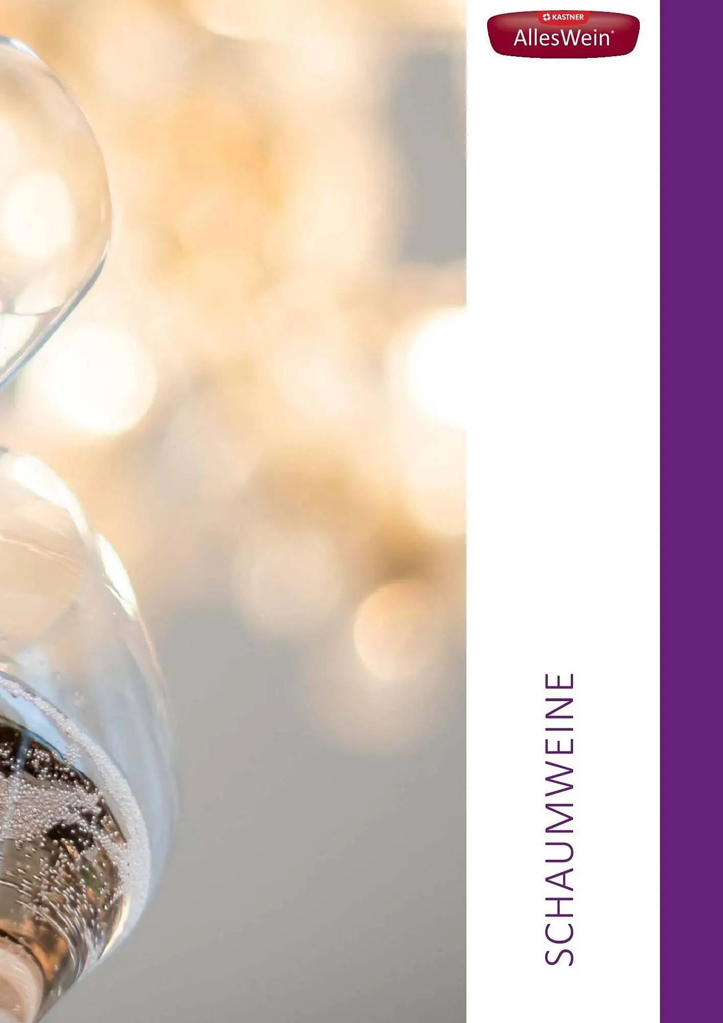 Kastner Flugblatt von 17. Juni bis 31. Dezember 2026 - Flugblätt seite 161