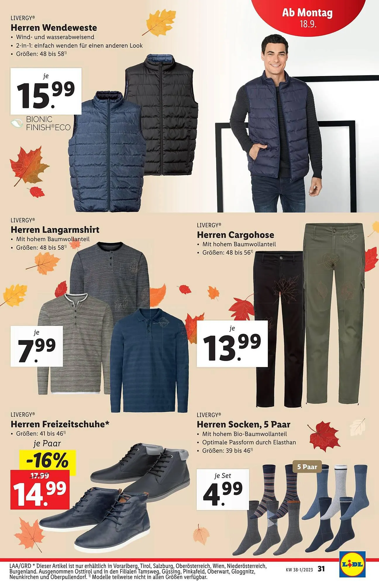 Lidl Flugblatt von 13. September bis 20. September 2023 - Flugblätt seite  31