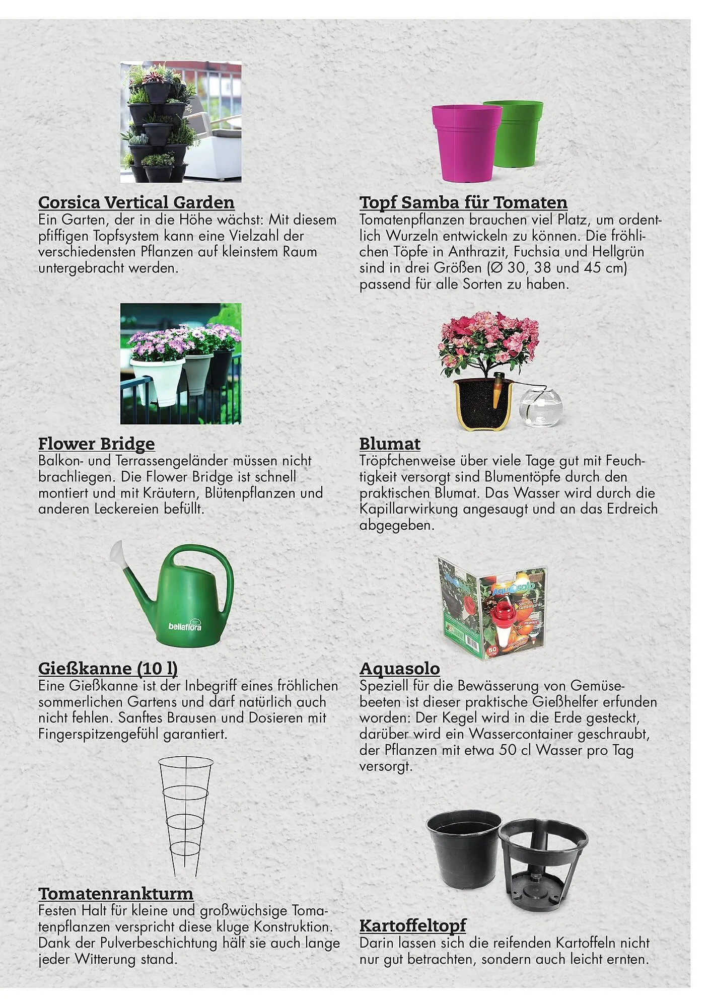 Bellaflora Flugblatt von 3. Jänner bis 31. Mai 2025 - Flugblätt seite 7