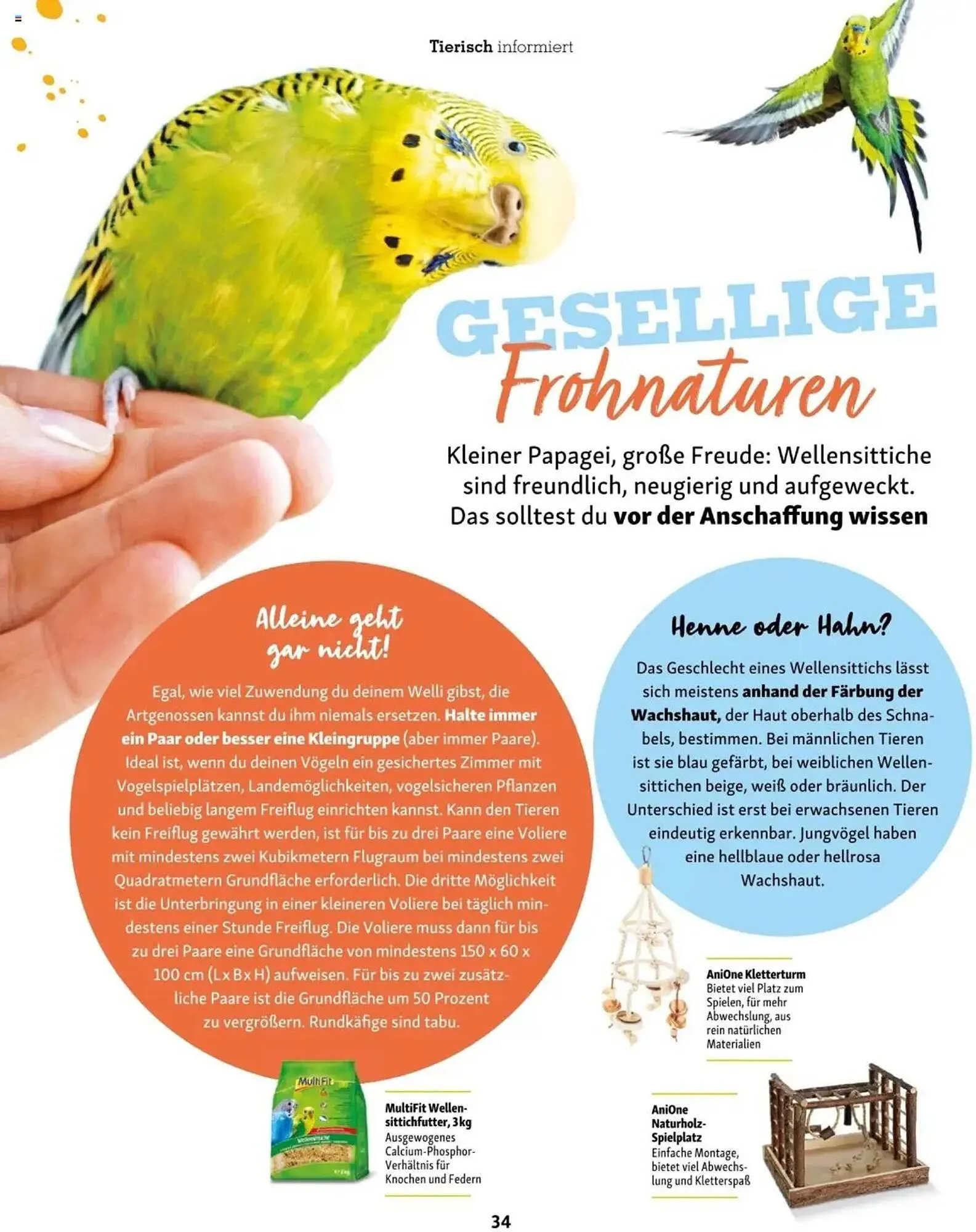 Fressnapf Flugblatt von 2. Jänner bis 2. März 2025 - Flugblätt seite  34