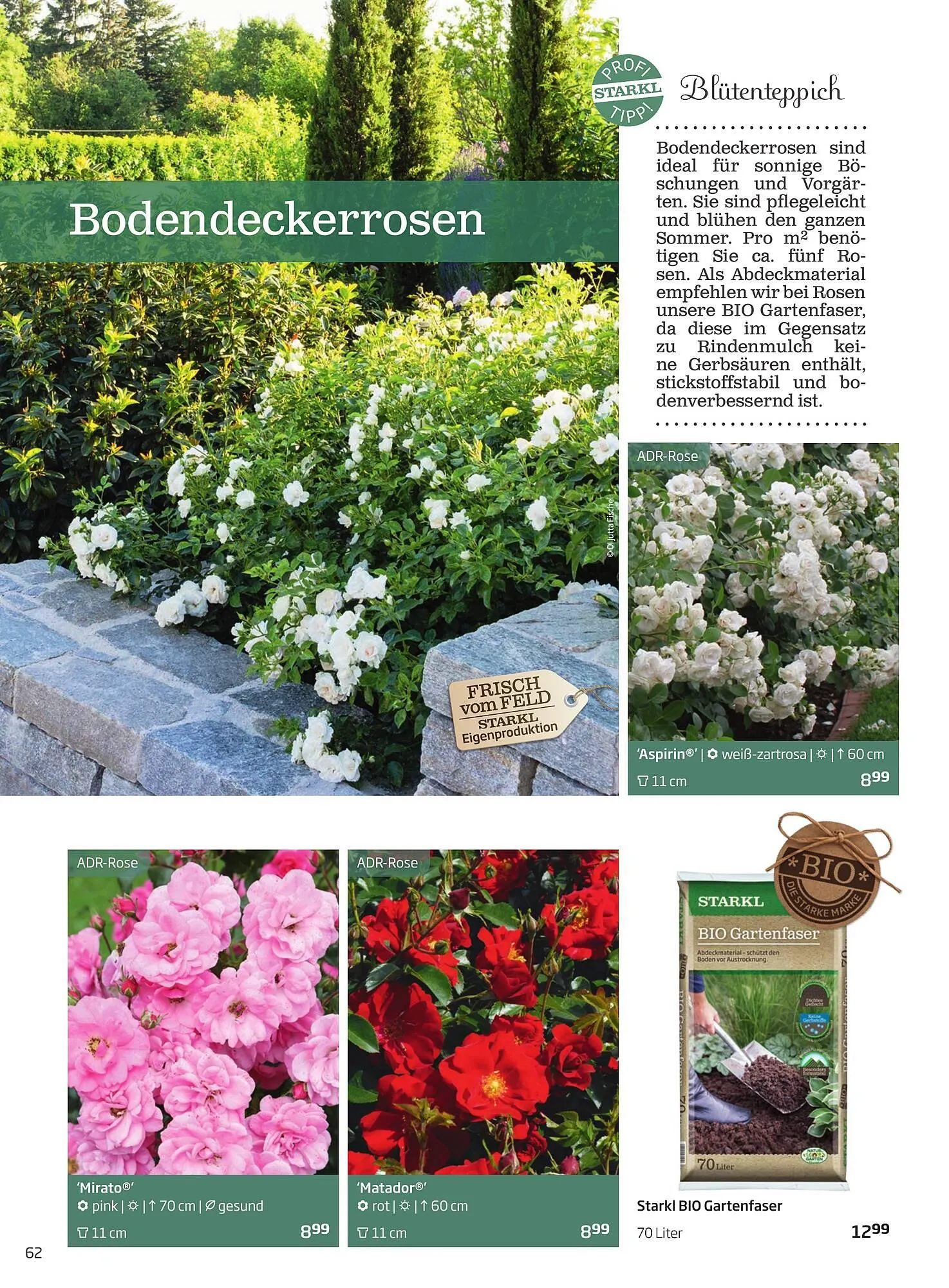 Starkl Flugblatt von 1. April bis 31. Dezember 2024 - Flugblätt seite  62