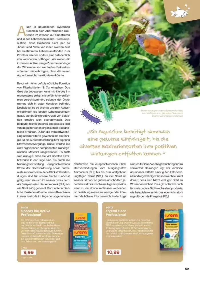 Angebote ZOO & Co von 29. November bis 13. Dezember 2024 - Flugblätt seite 59