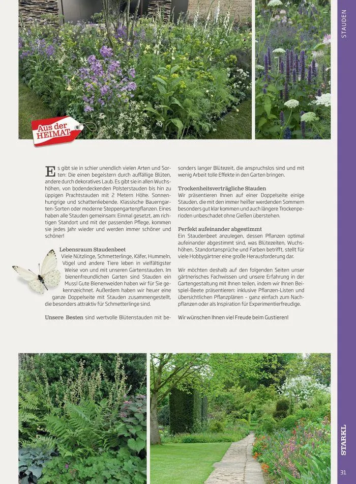 Gartencenter Jahreskatalog 2024 von 20. Mai bis 31. Dezember 2024 - Flugblätt seite 31