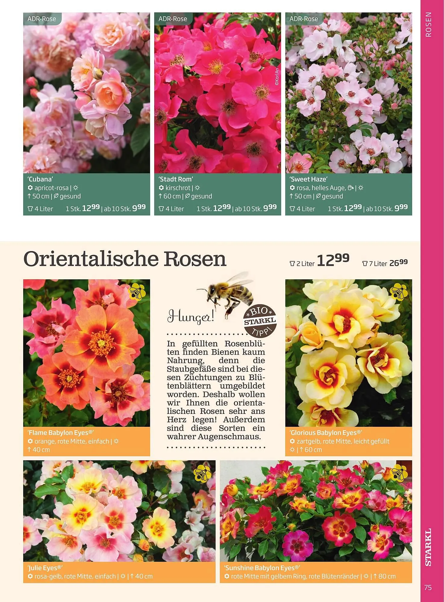Starkl Flugblatt von 6. Juni bis 31. Dezember 2025 - Flugblätt seite  75