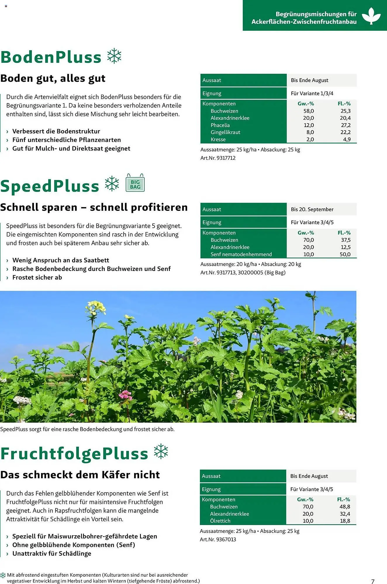 Lagerhaus Flugblatt von 26. März bis 26. September 2026 - Flugblätt seite  7