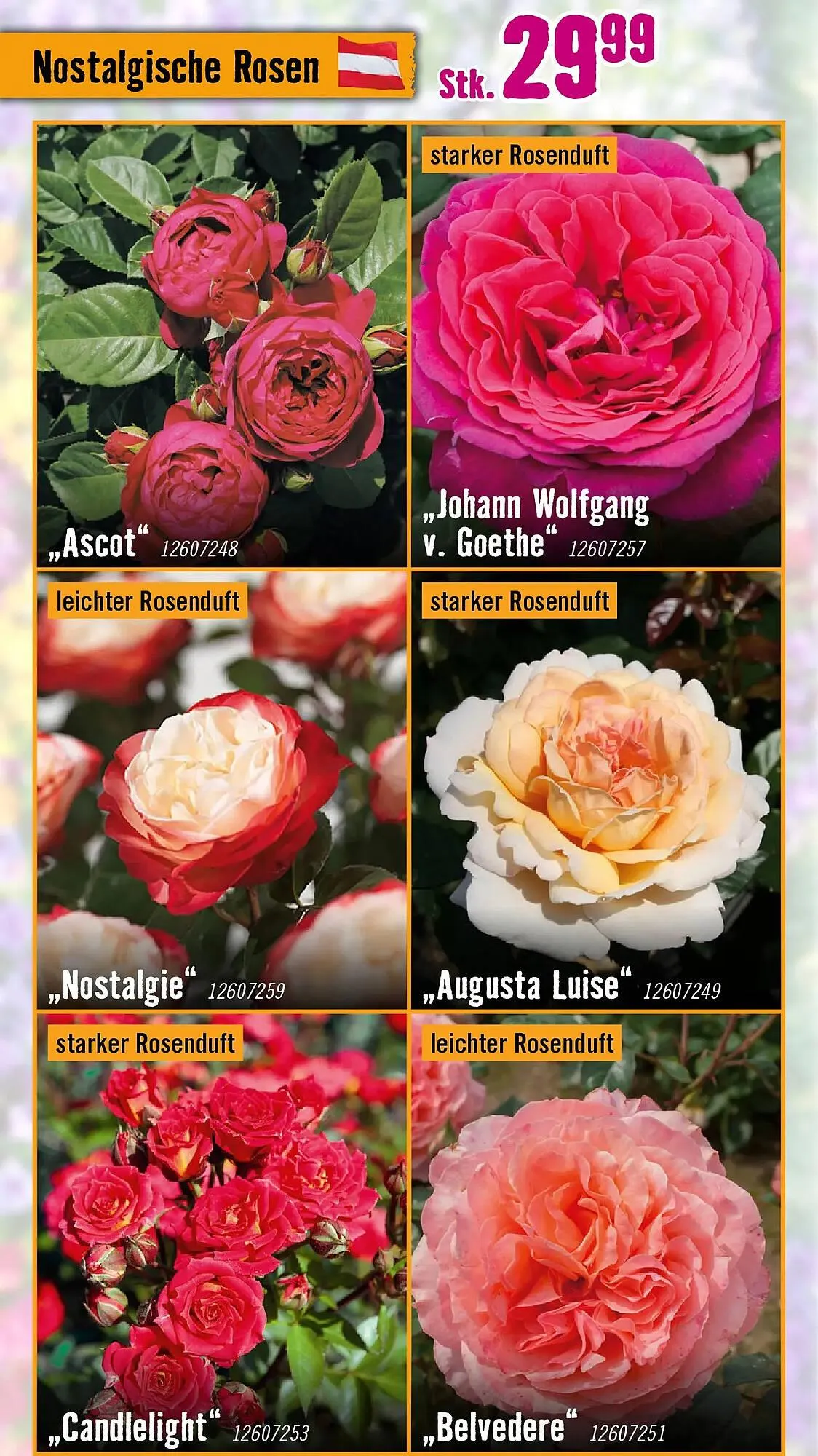 Hornbach Flugblatt von 18. März bis 16. April 2026 - Flugblätt seite  17