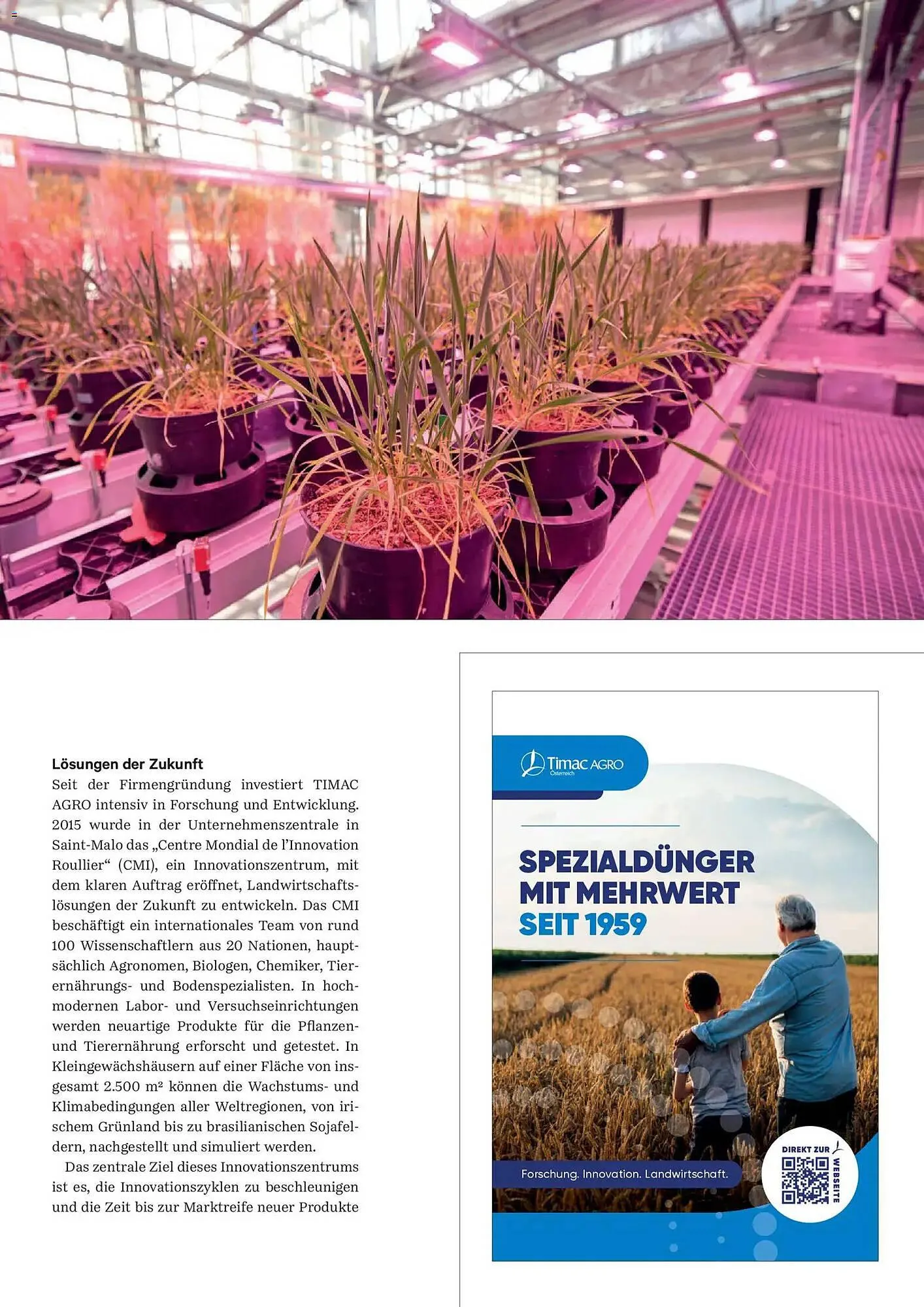 Lagerhaus Flugblatt von 1. Jänner bis 28. Februar 2026 - Flugblätt seite 35