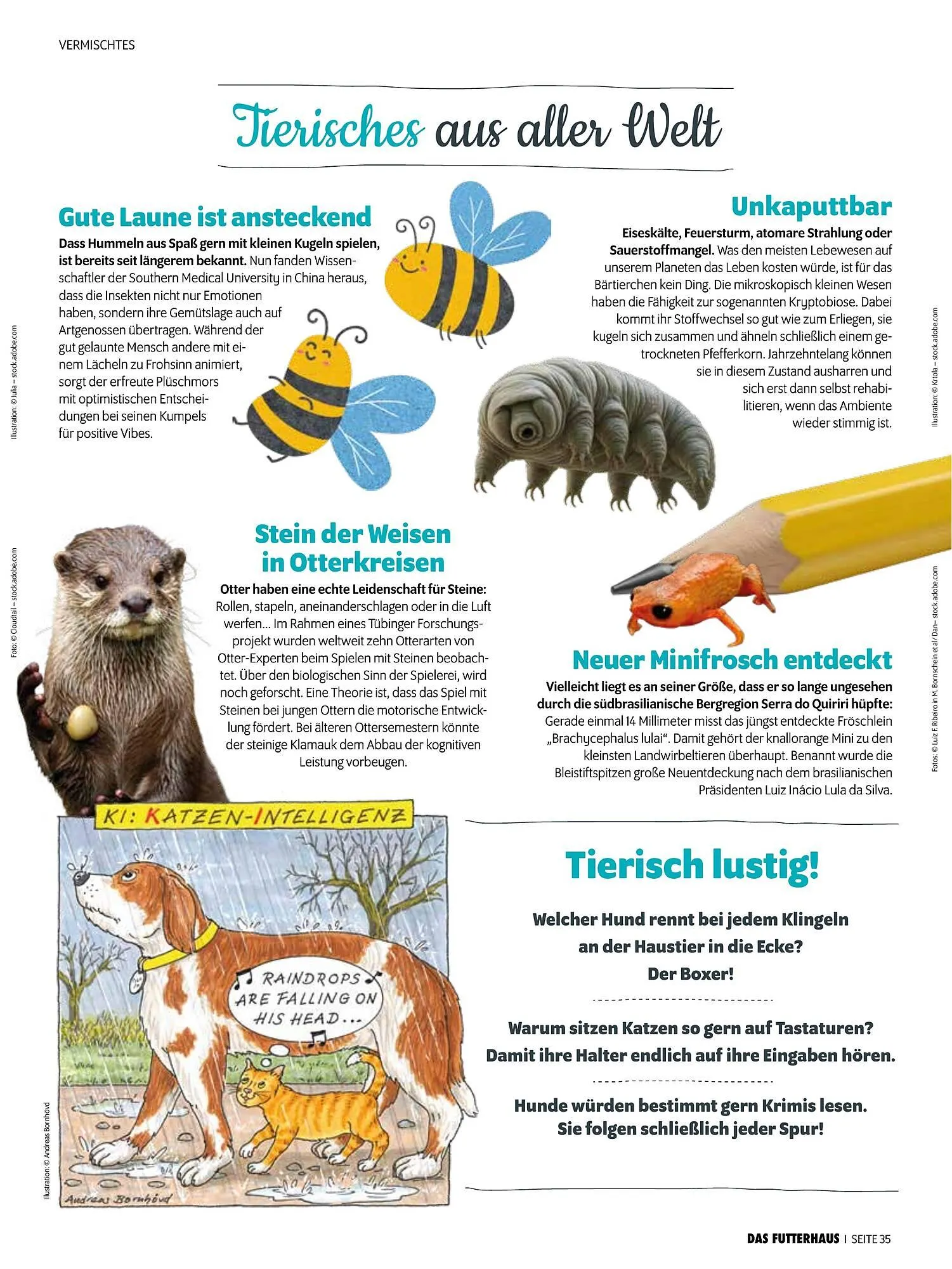 Das Futterhaus Prospekt von 16. Februar bis 8. März 2026 - Flugblätt seite  35