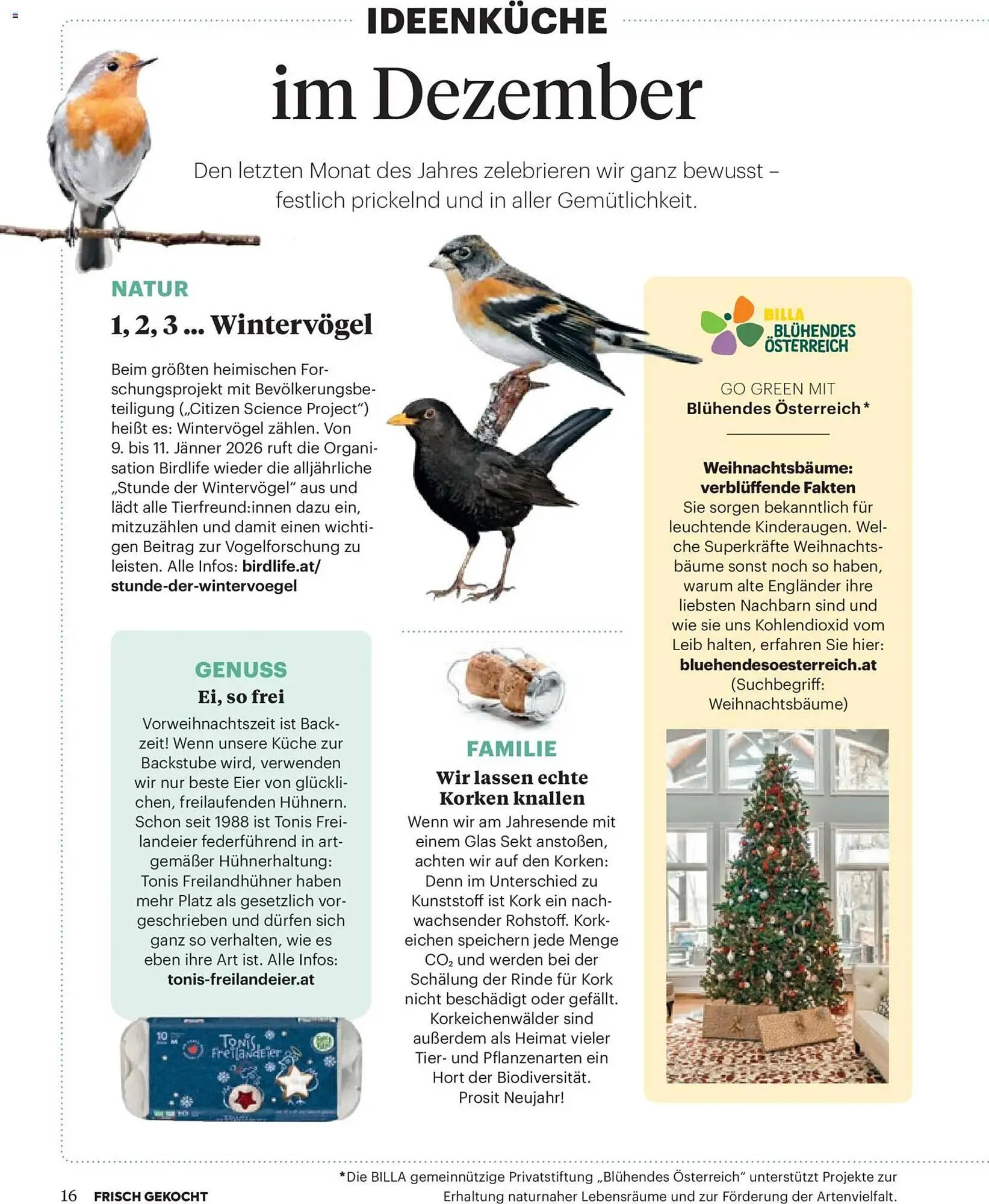 Billa Flugblatt von 1. Dezember bis 31. Dezember 2025 - Flugblätt seite  16