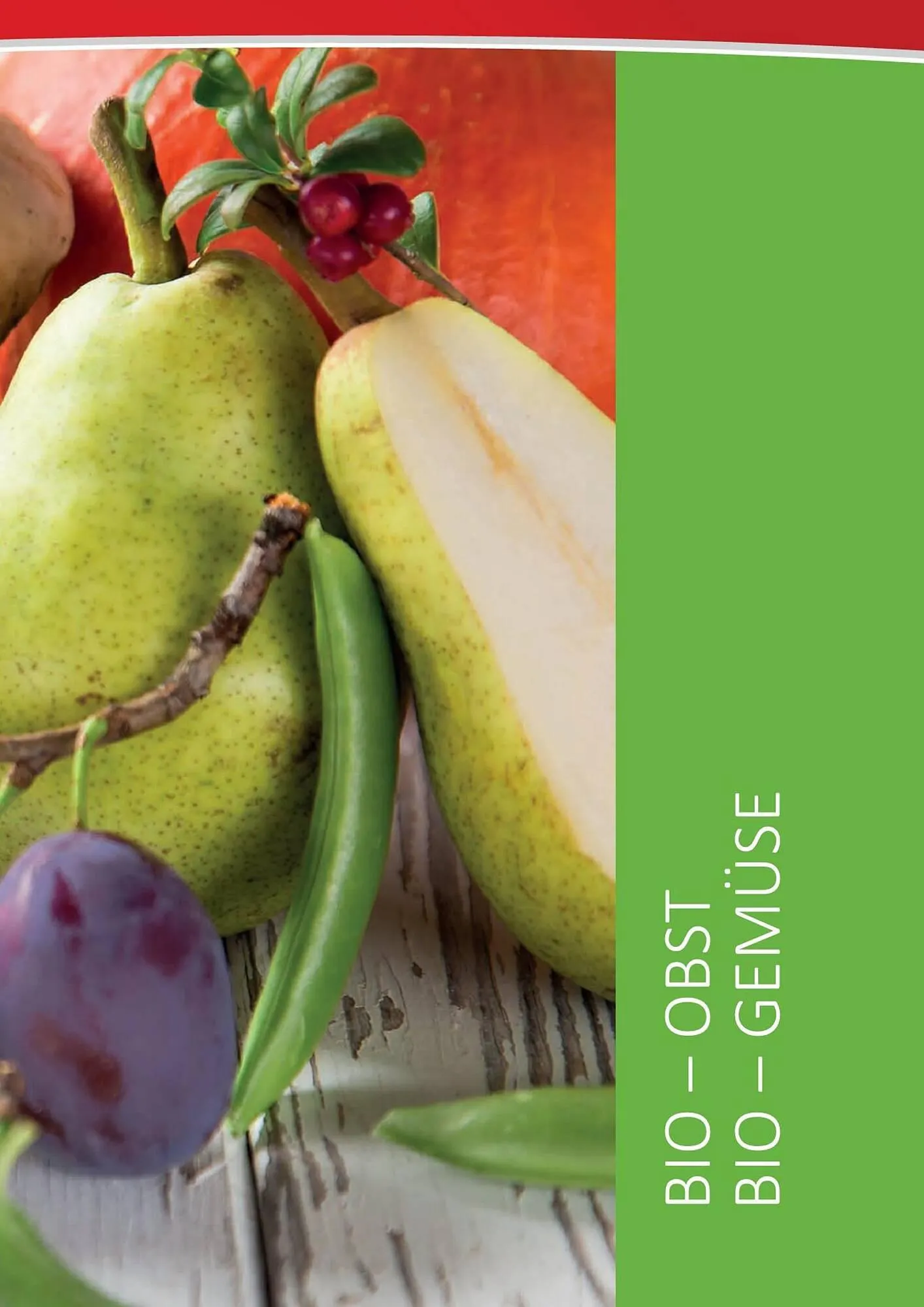 Kastner Flugblatt von 15. September bis 30. Dezember 2023 - Flugblätt seite  31