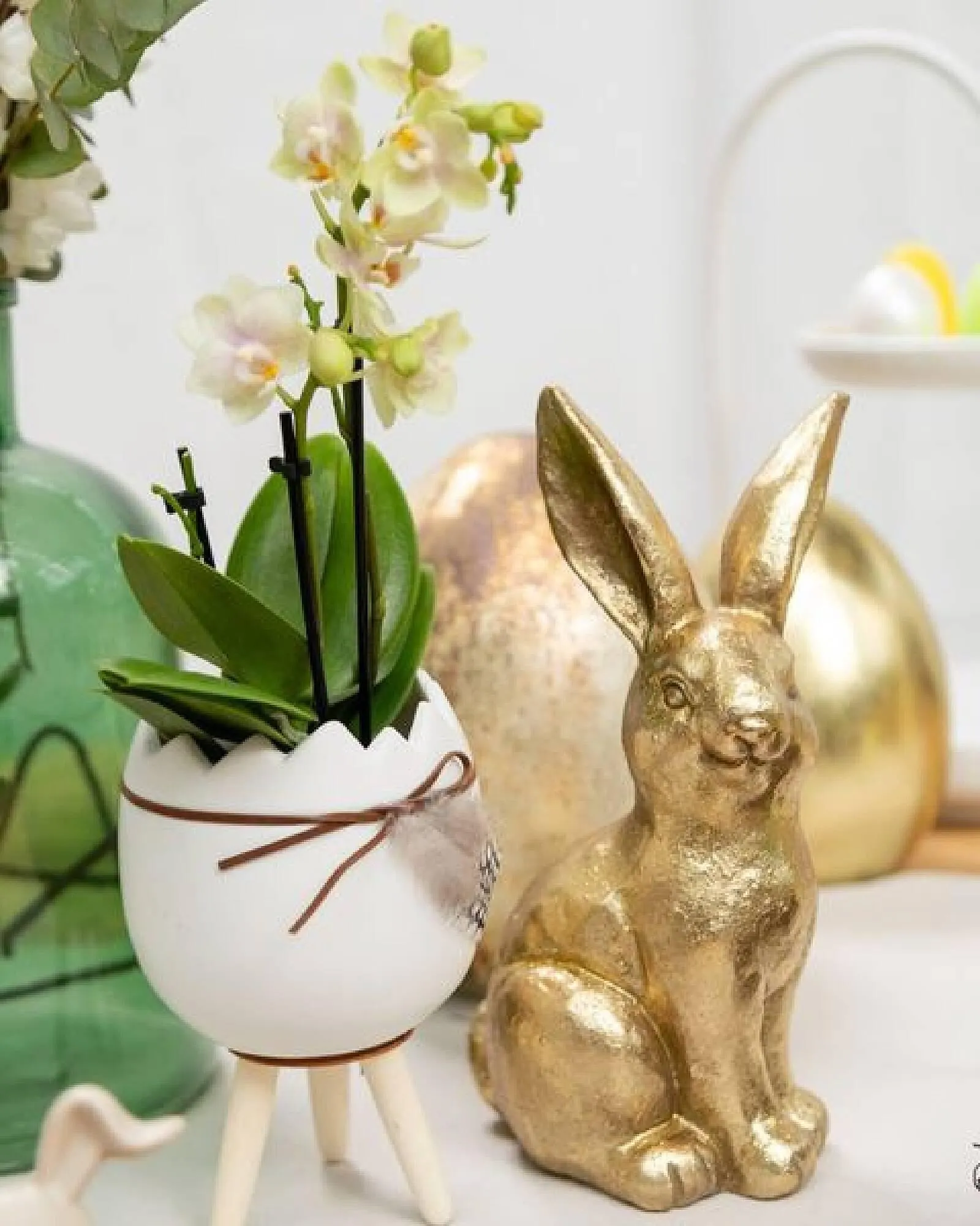 Bellaflora Flugblatt von 14. März bis 20. März 2024 - Flugblätt seite  2