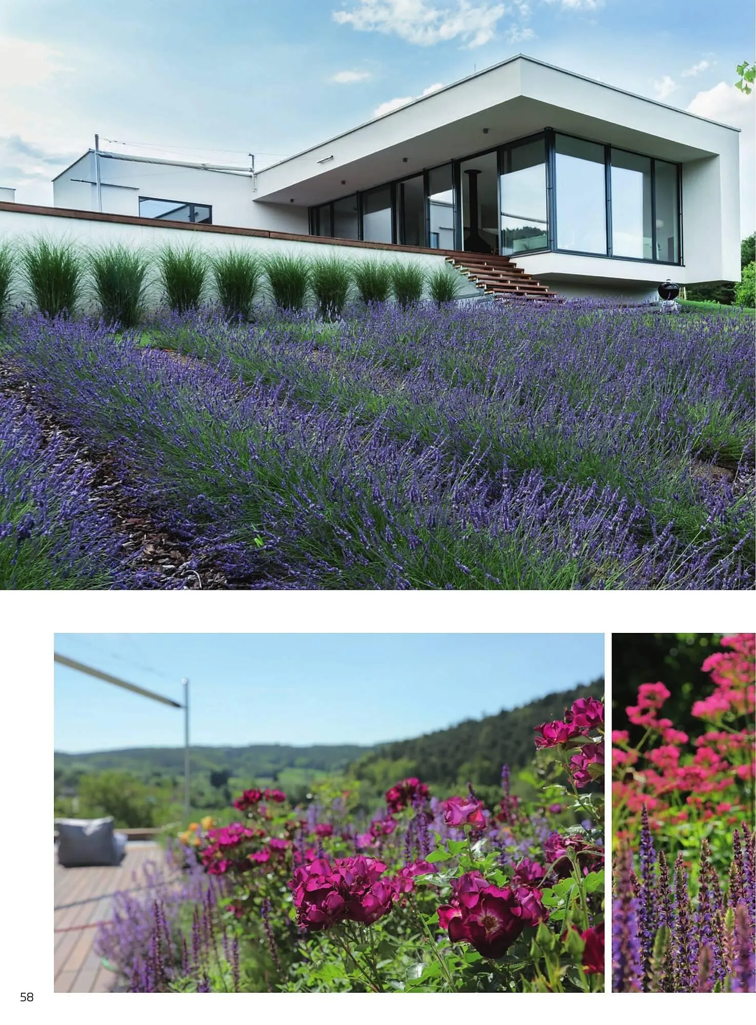 Starkl Flugblatt von 6. Juni bis 31. Dezember 2025 - Flugblätt seite 58