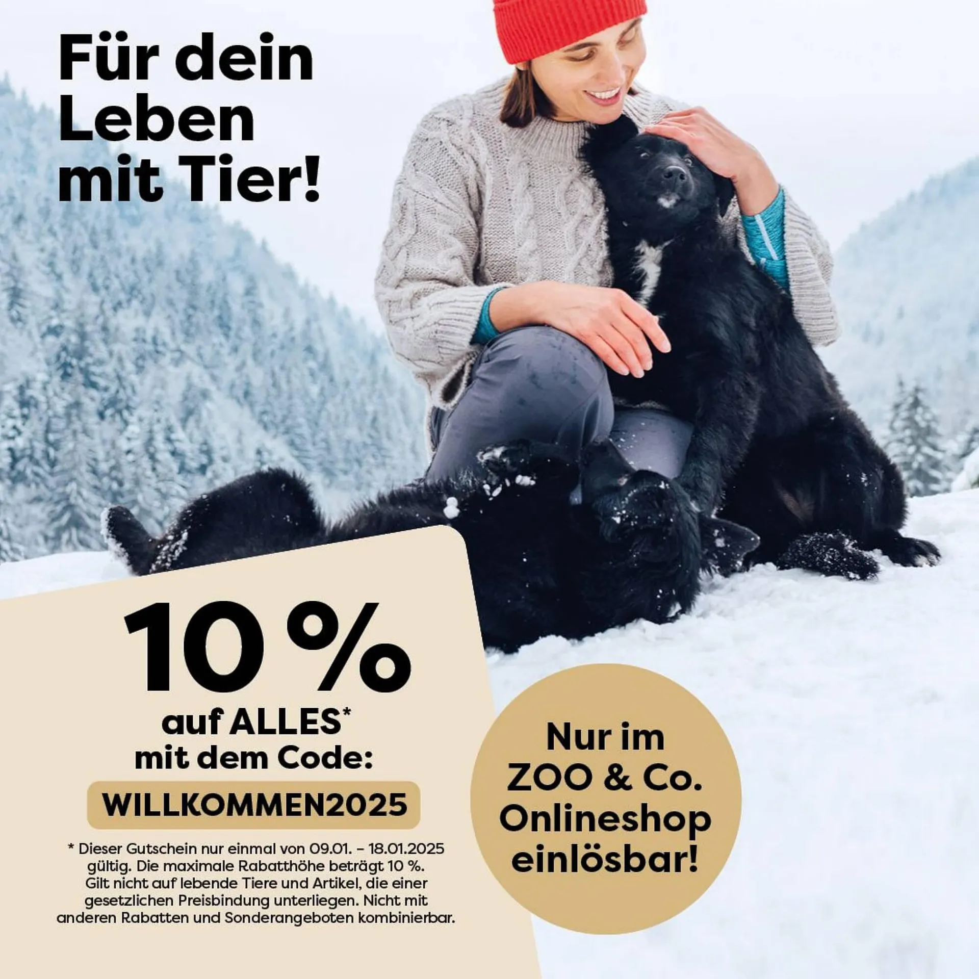 ZOO & Co Flugblatt - 1