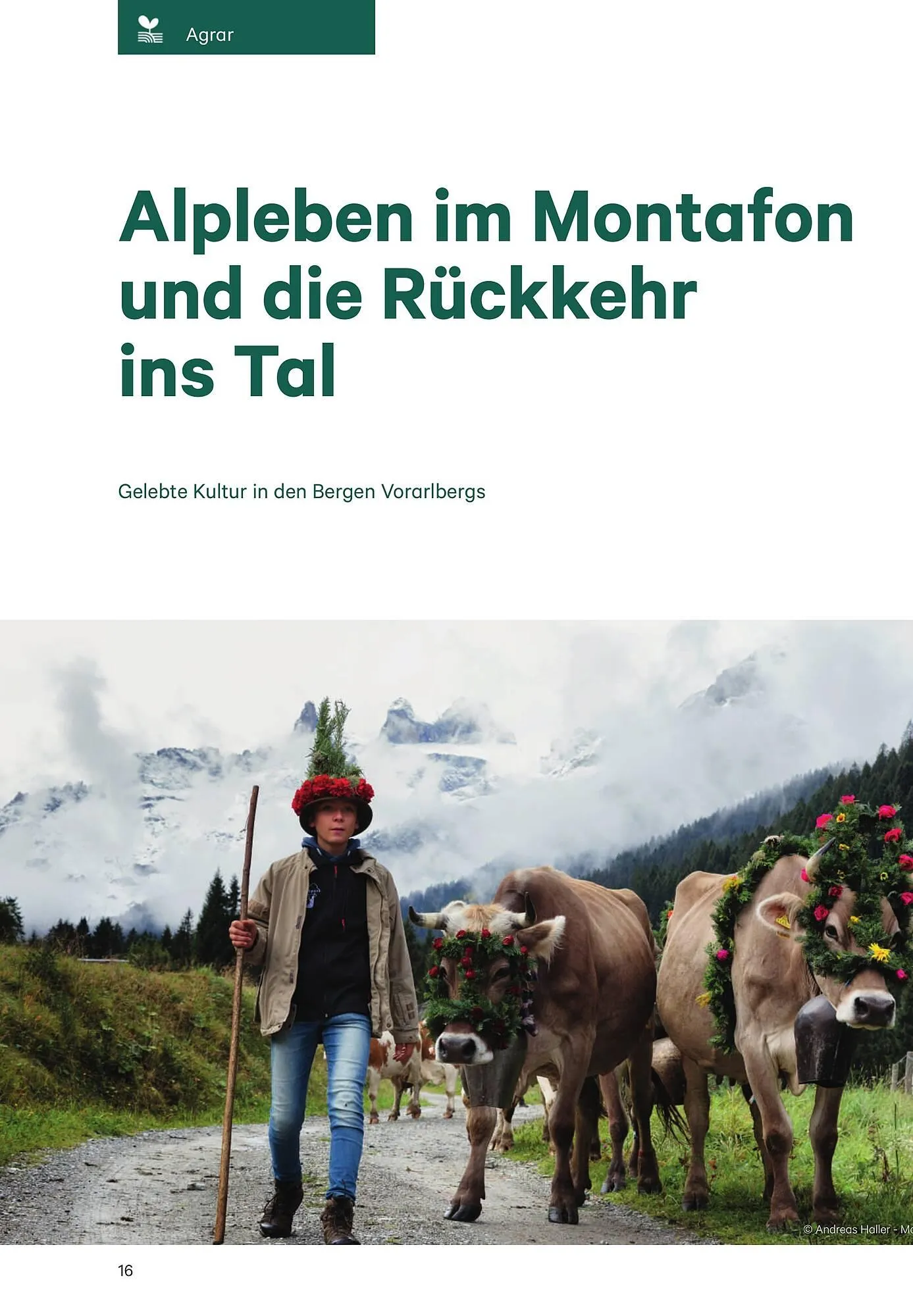 BayWa Flugblatt von 3. Jänner bis 5. Februar 2025 - Flugblätt seite  16