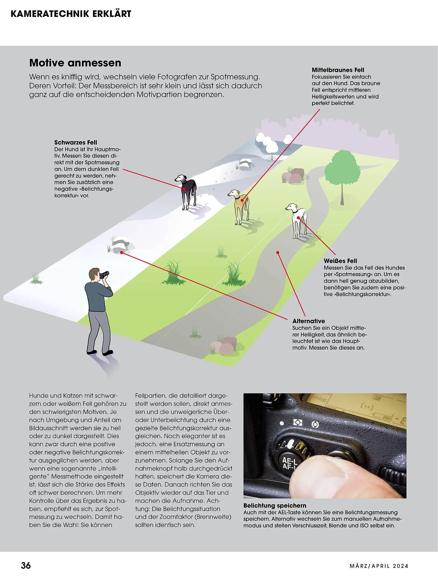 RINGFOTO Flugblatt von 1. März bis 30. April 2024 - Flugblätt seite 36